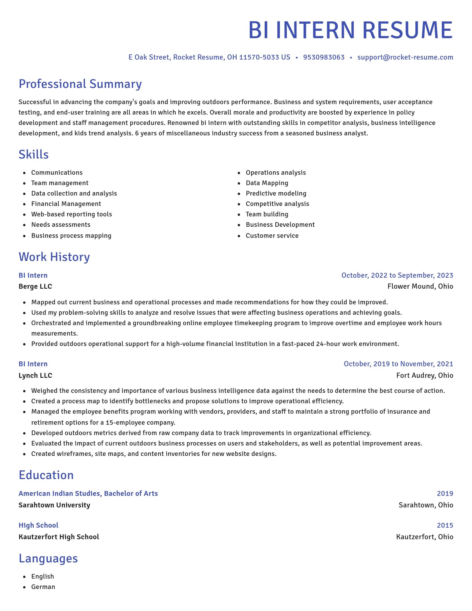 Novel resume template