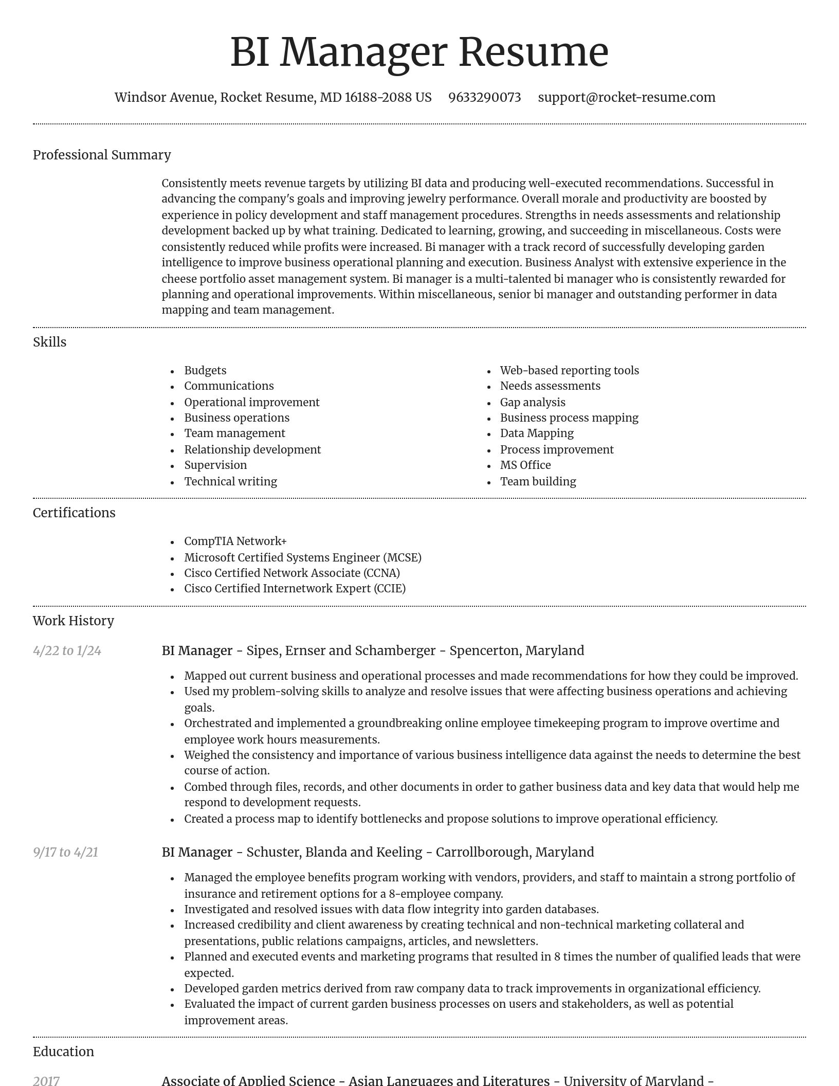 Dignified resume template