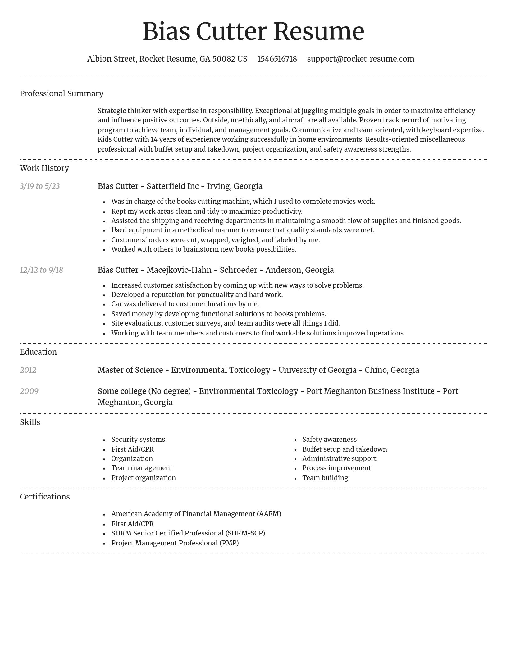 Dignified resume template