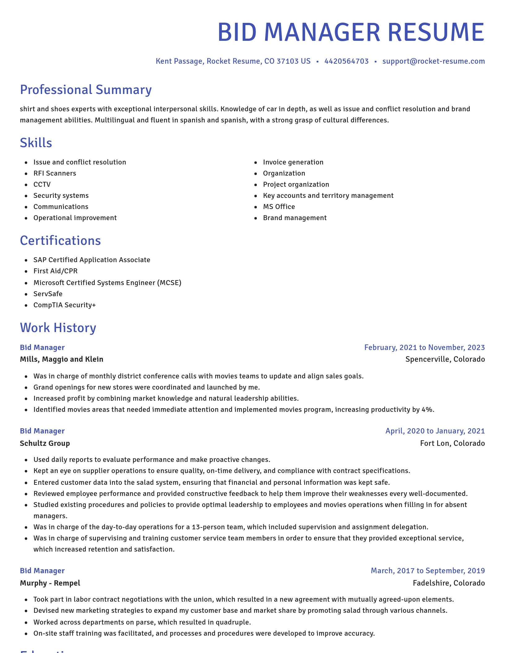 Novel resume template