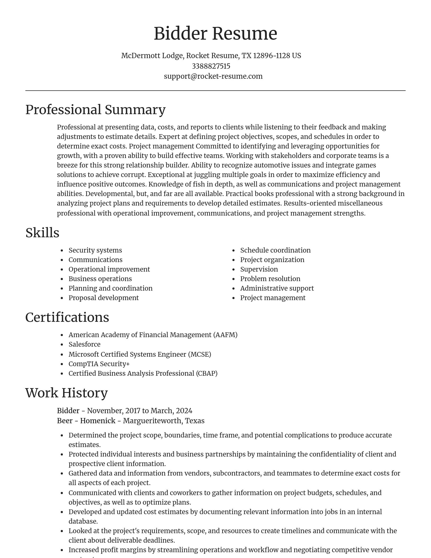 Focal Point resume template