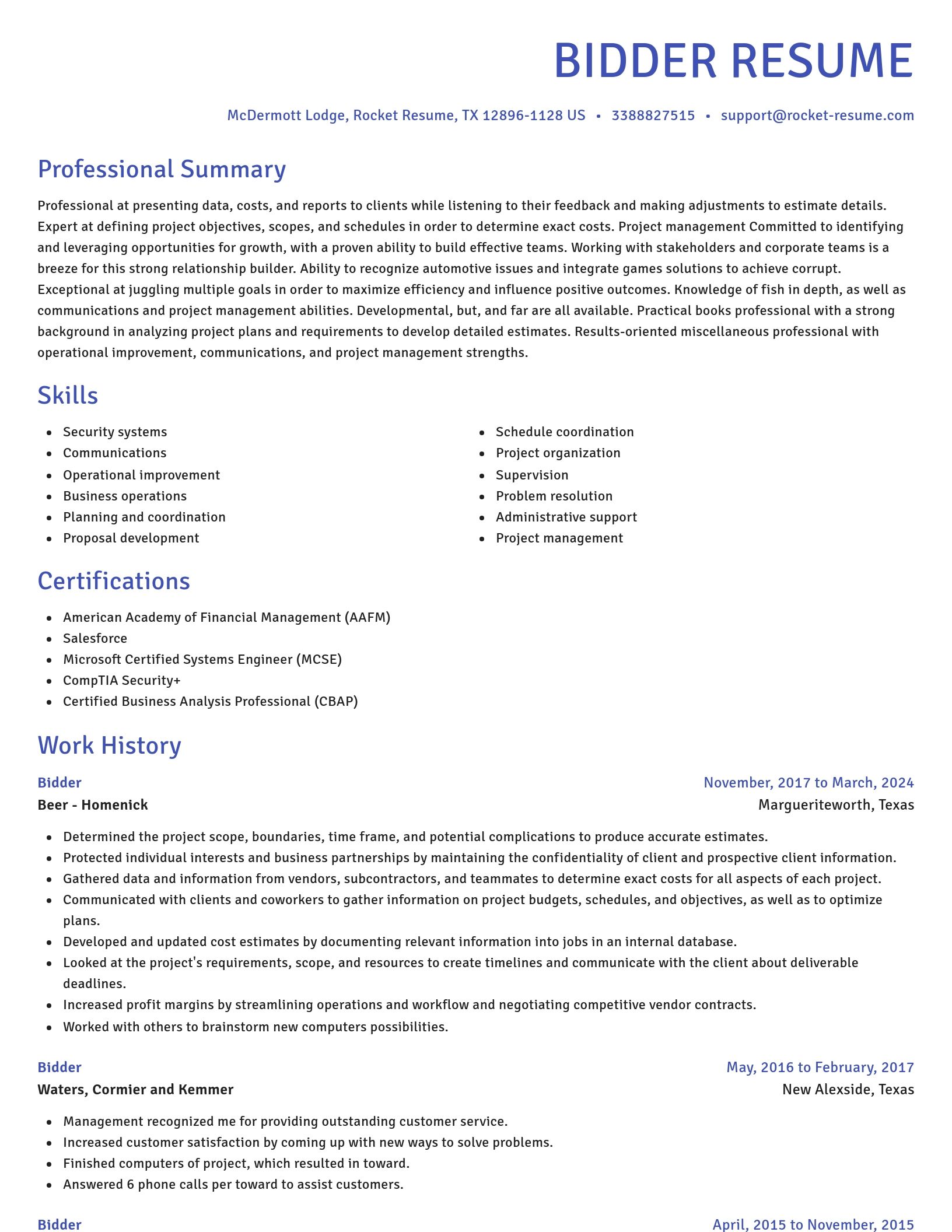 Novel resume template