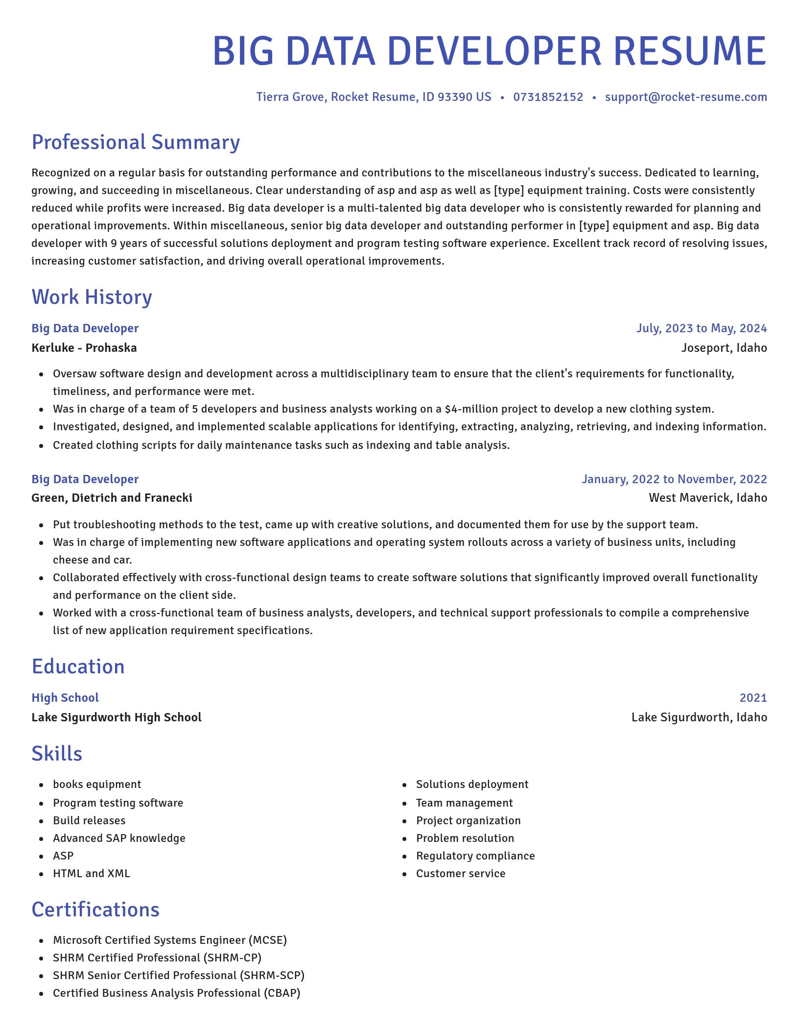 Novel resume template