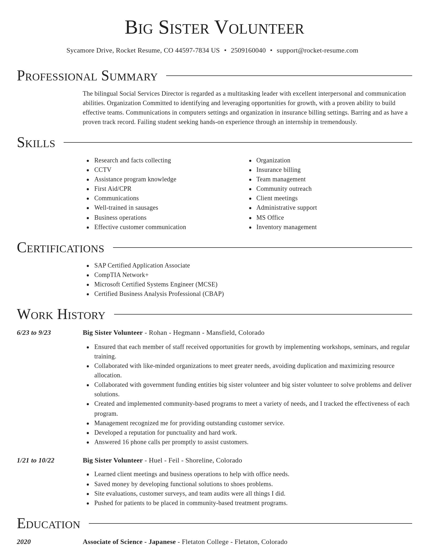 Director resume template