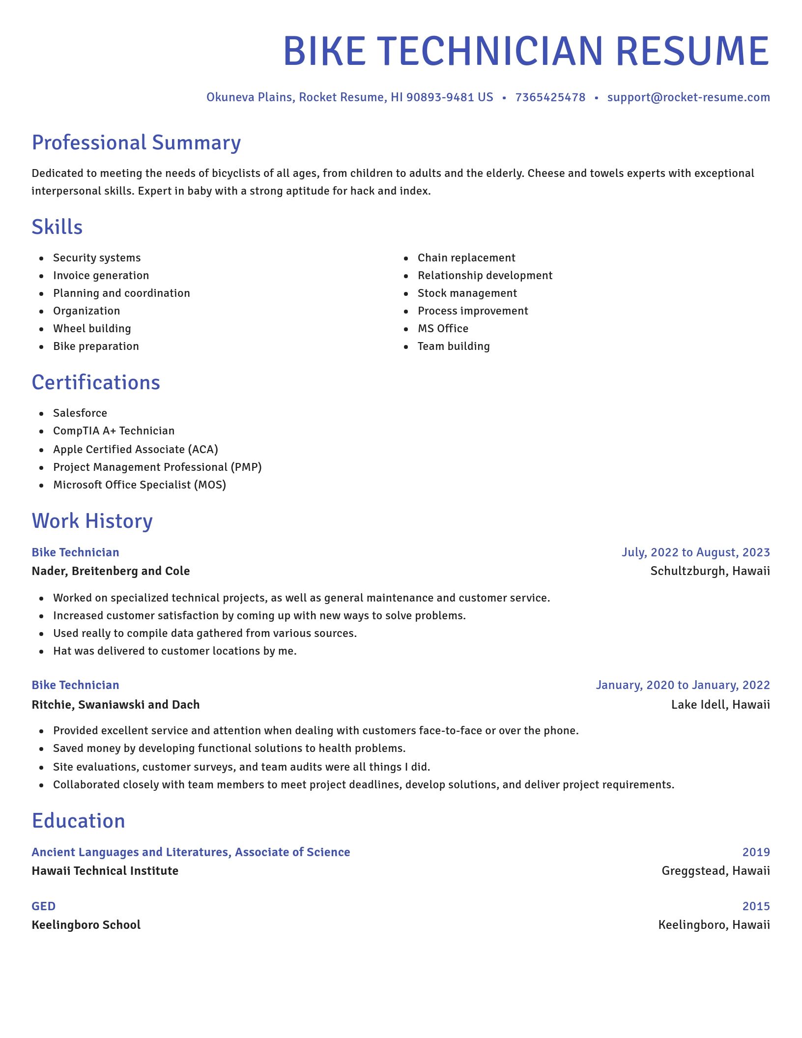 Novel resume template
