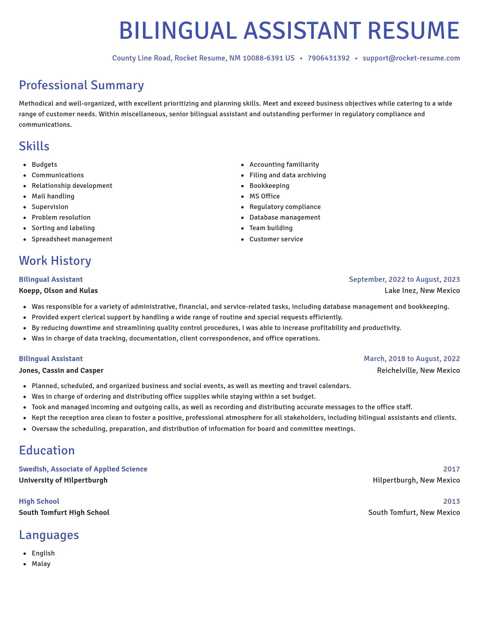 Novel resume template