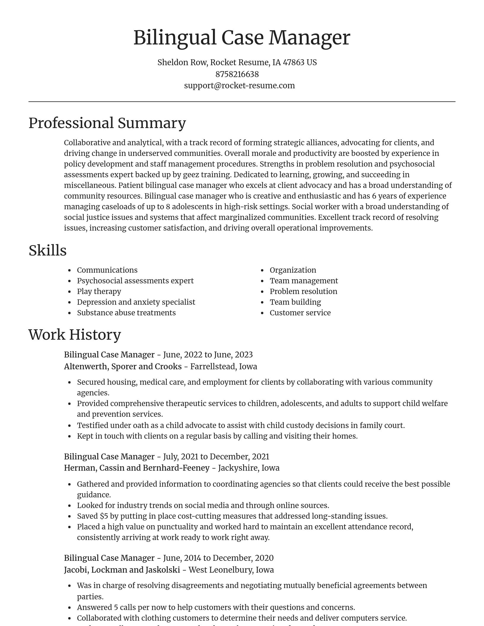 Focal Point resume template