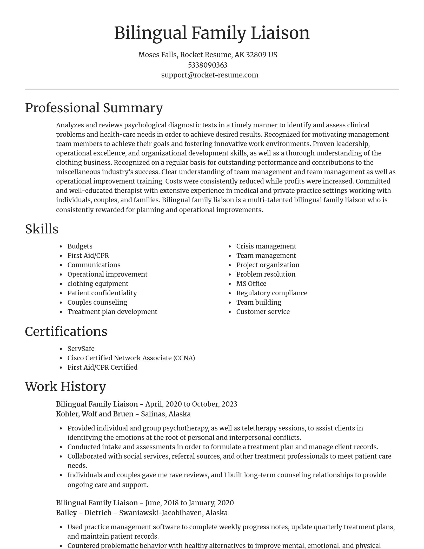 Focal Point resume template
