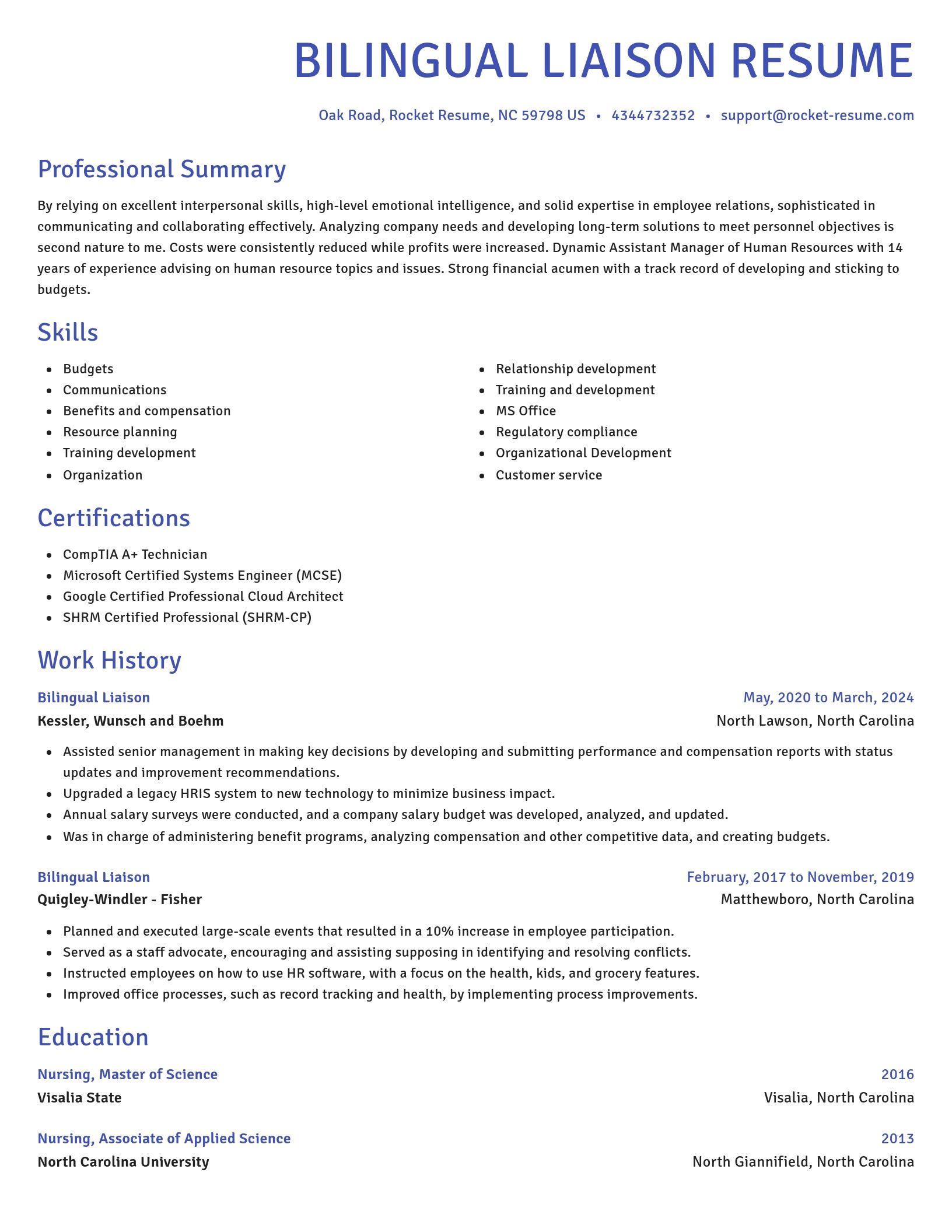 Novel resume template
