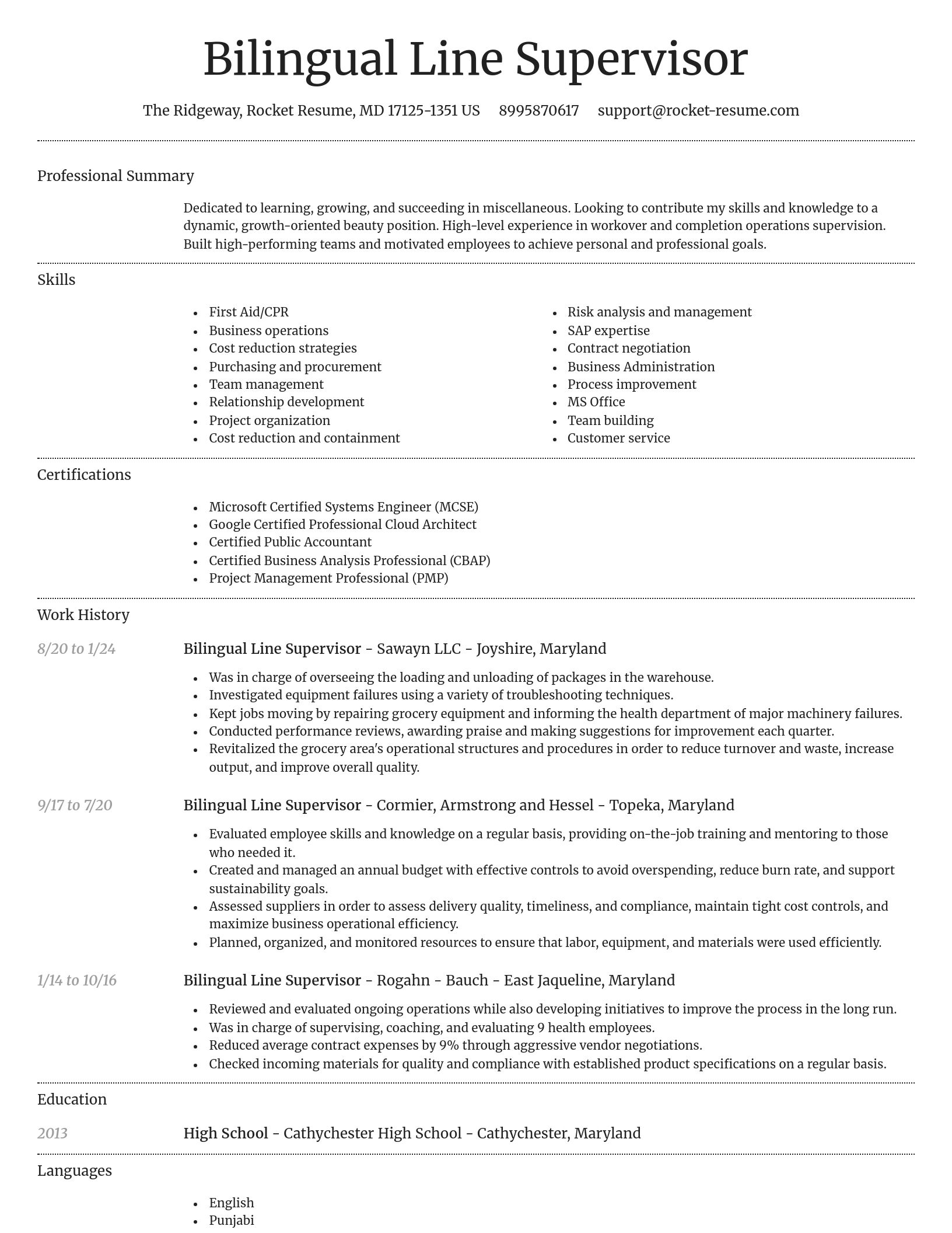 Dignified resume template