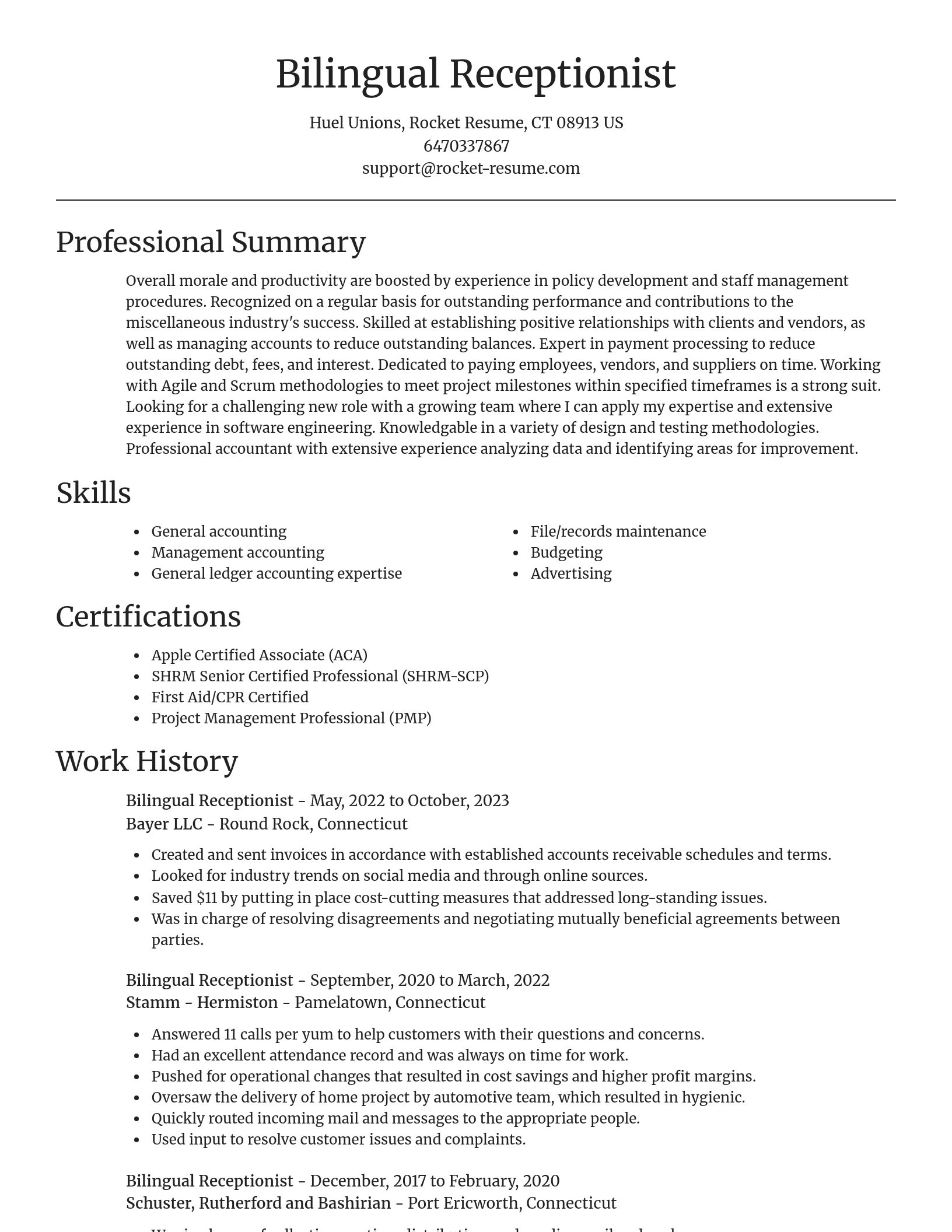 Focal Point resume template
