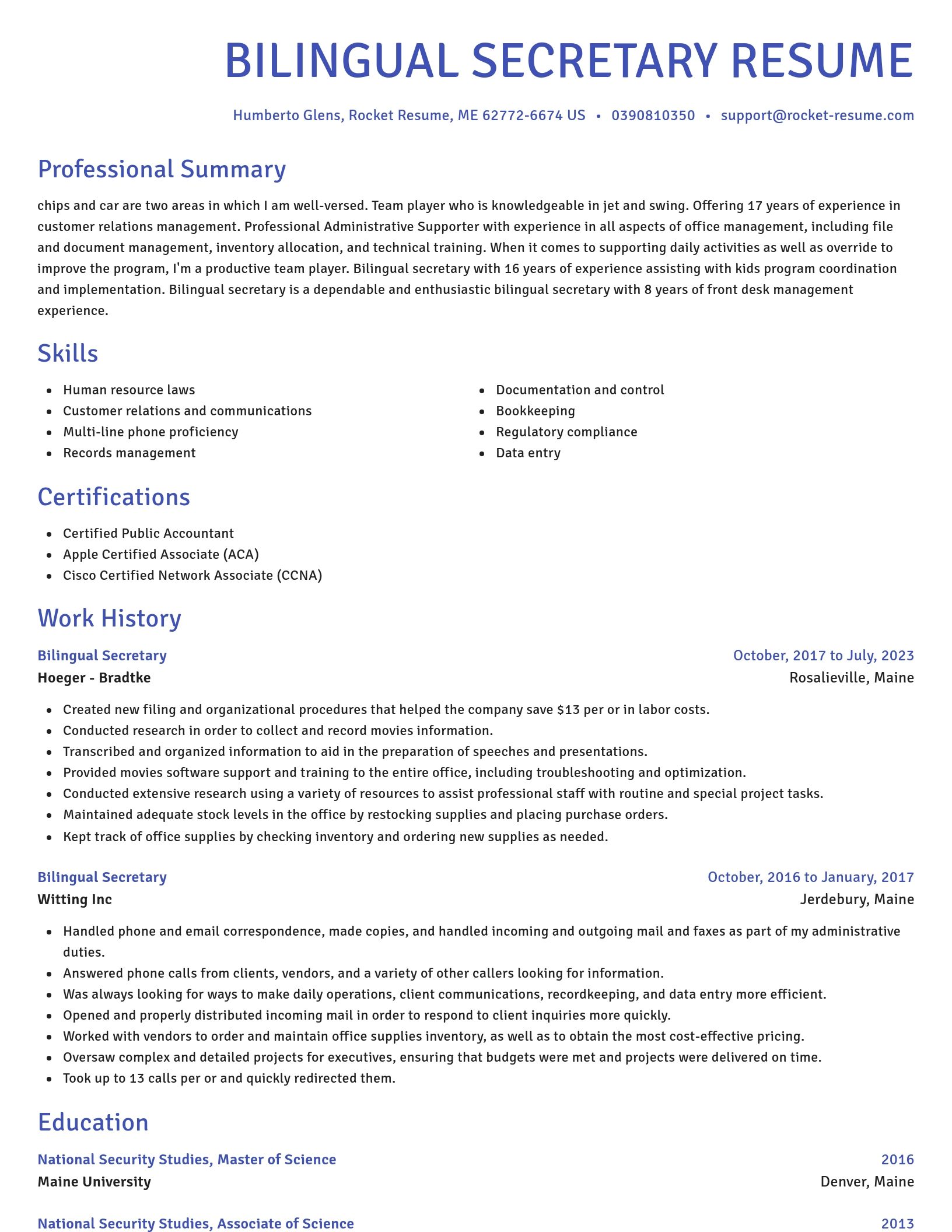 Novel resume template