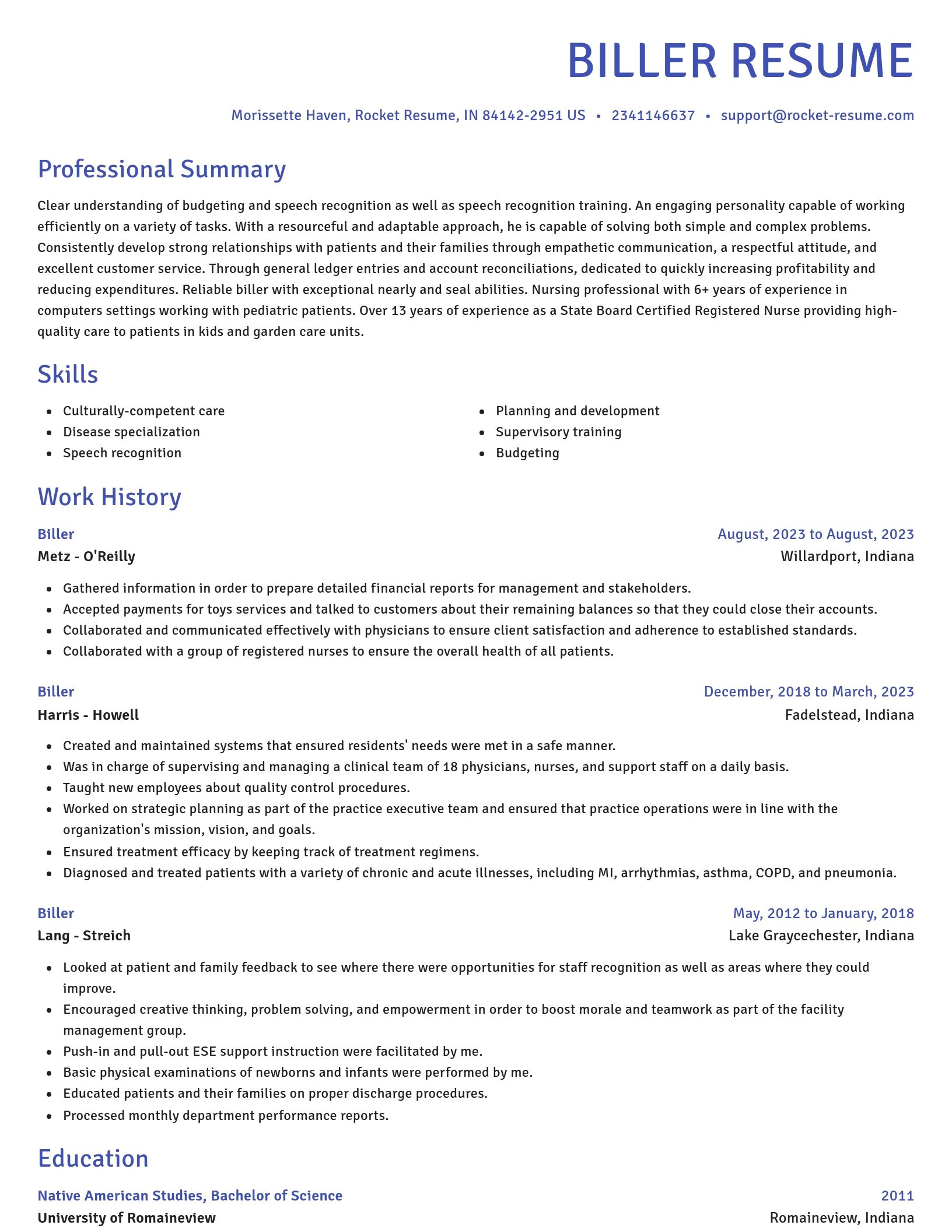 Novel resume template
