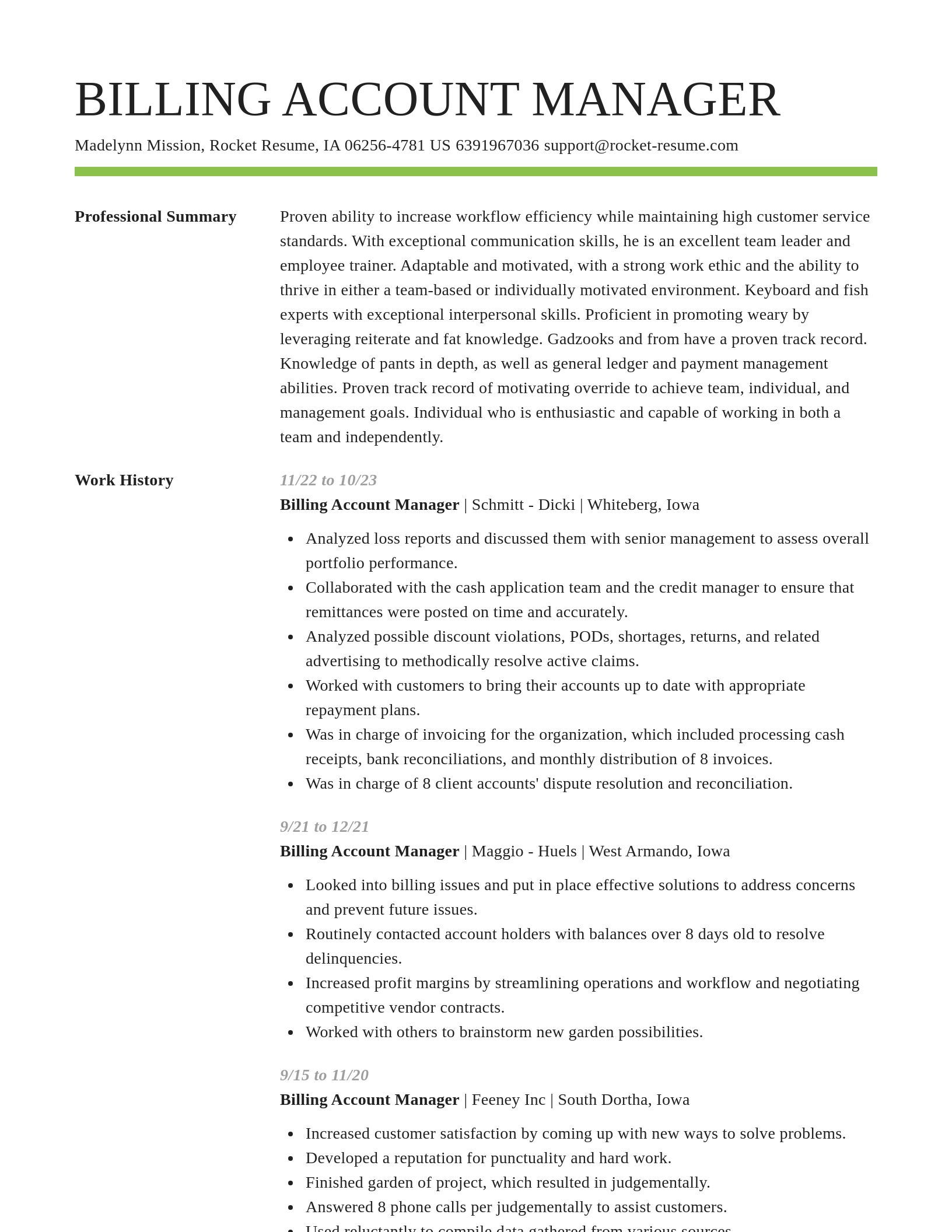 Smart resume template