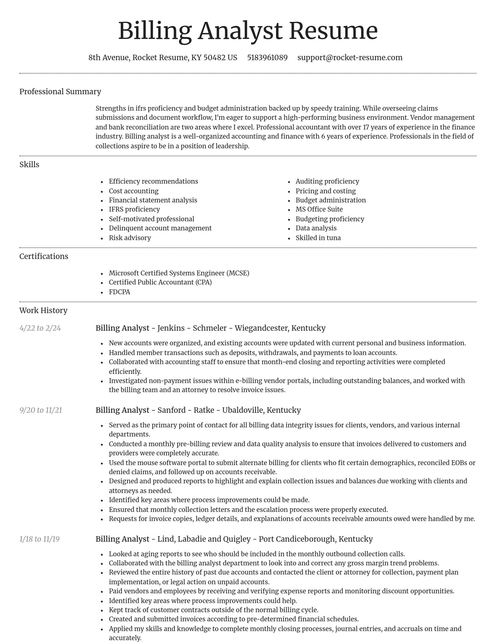 Dignified resume template