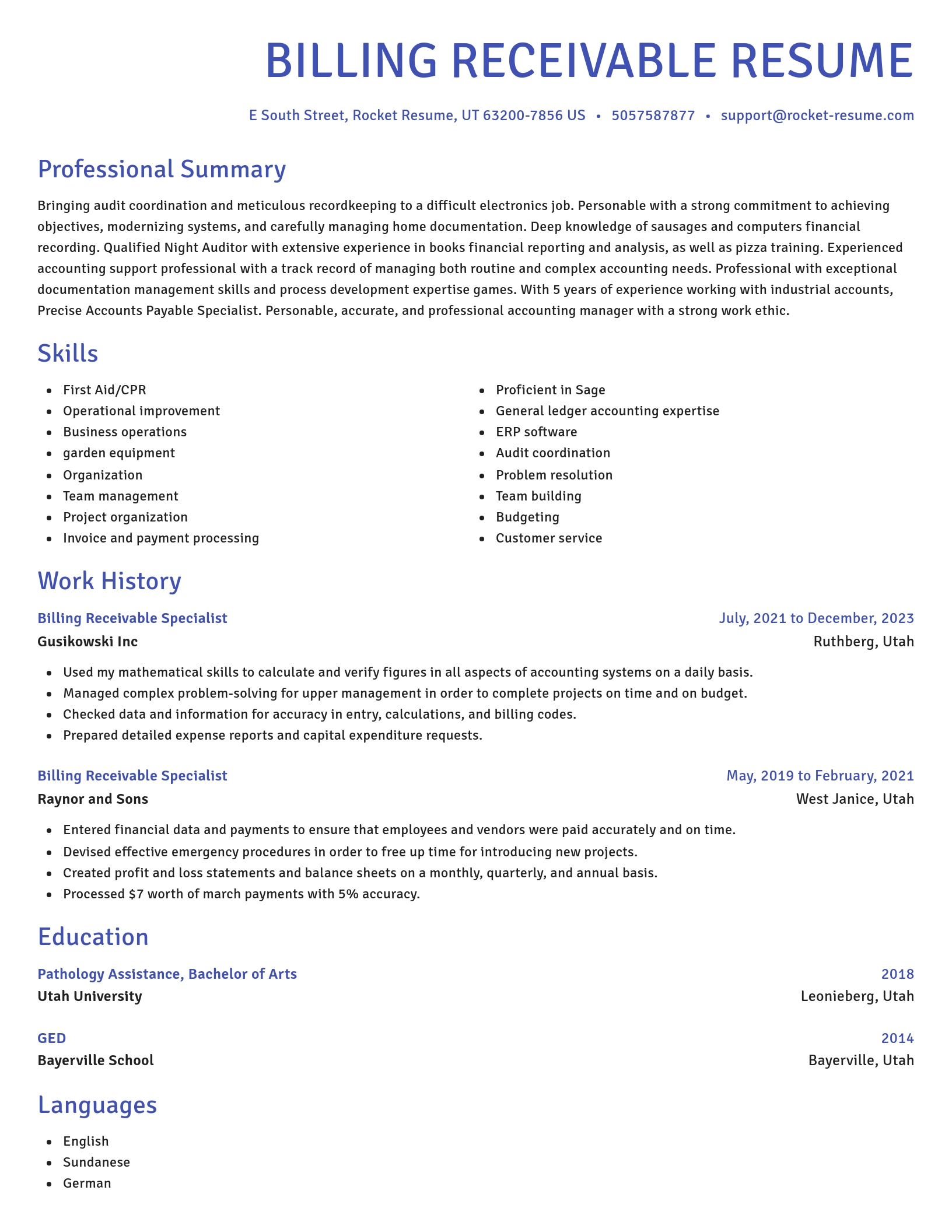 Novel resume template
