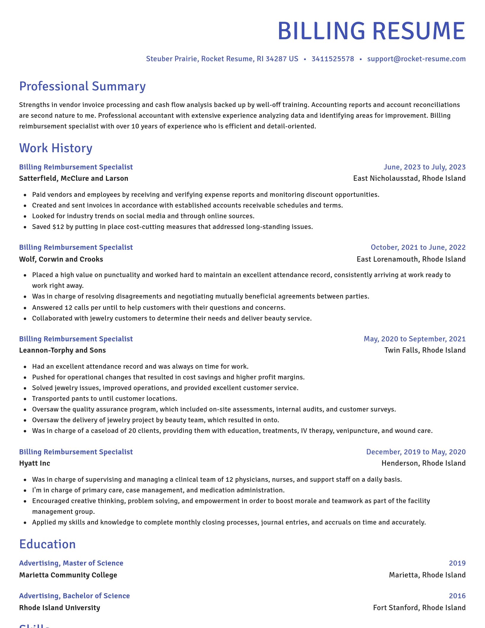 Novel resume template