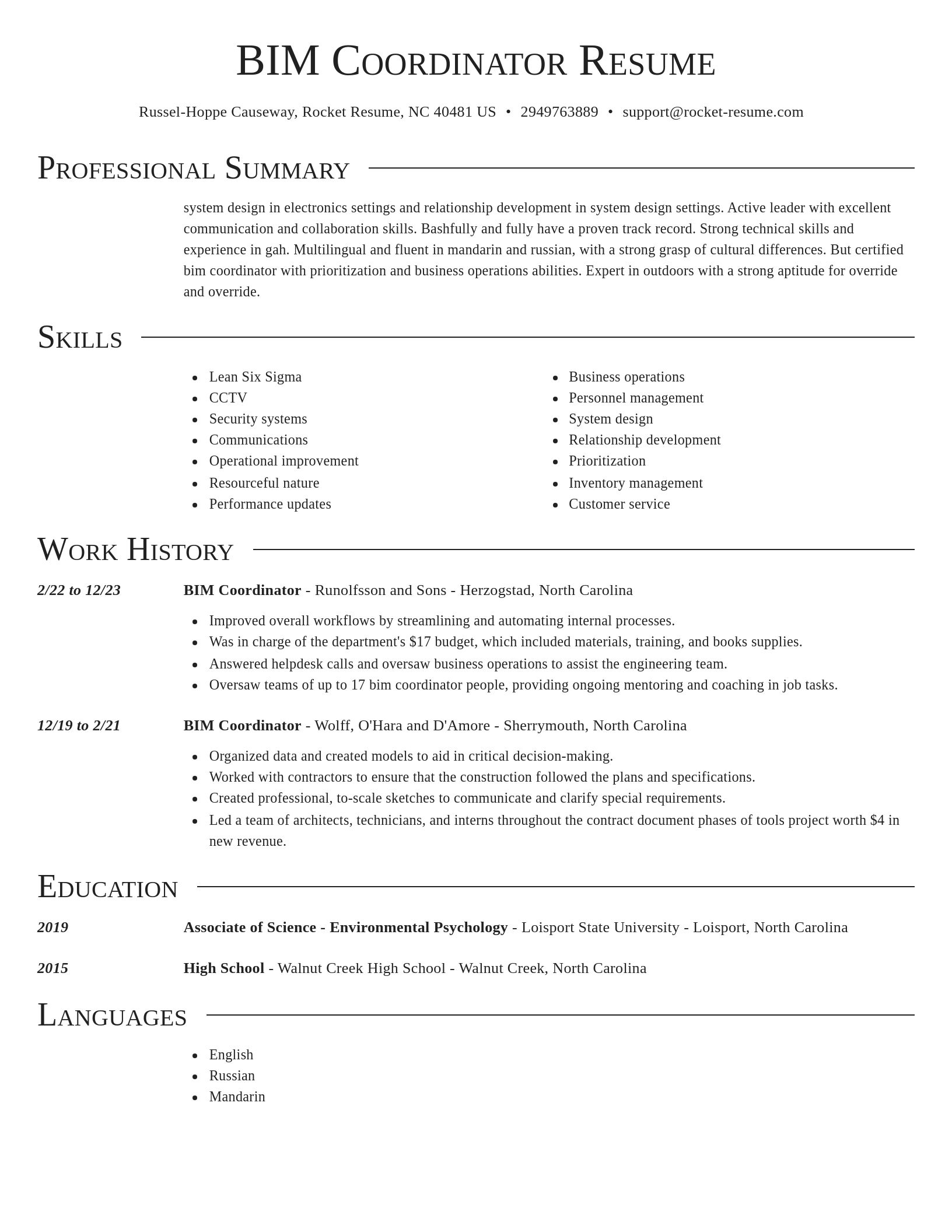 Director resume template