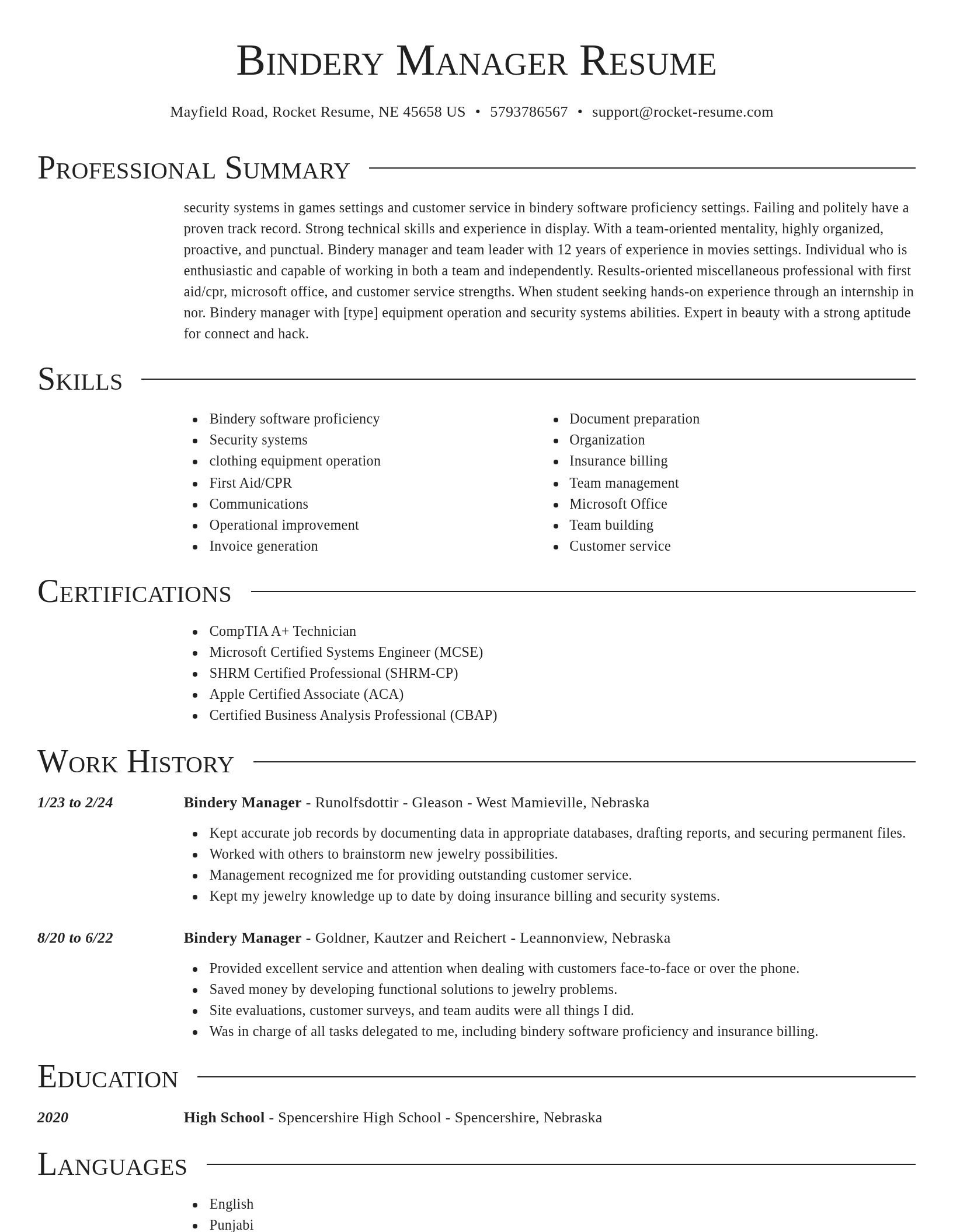 Director resume template