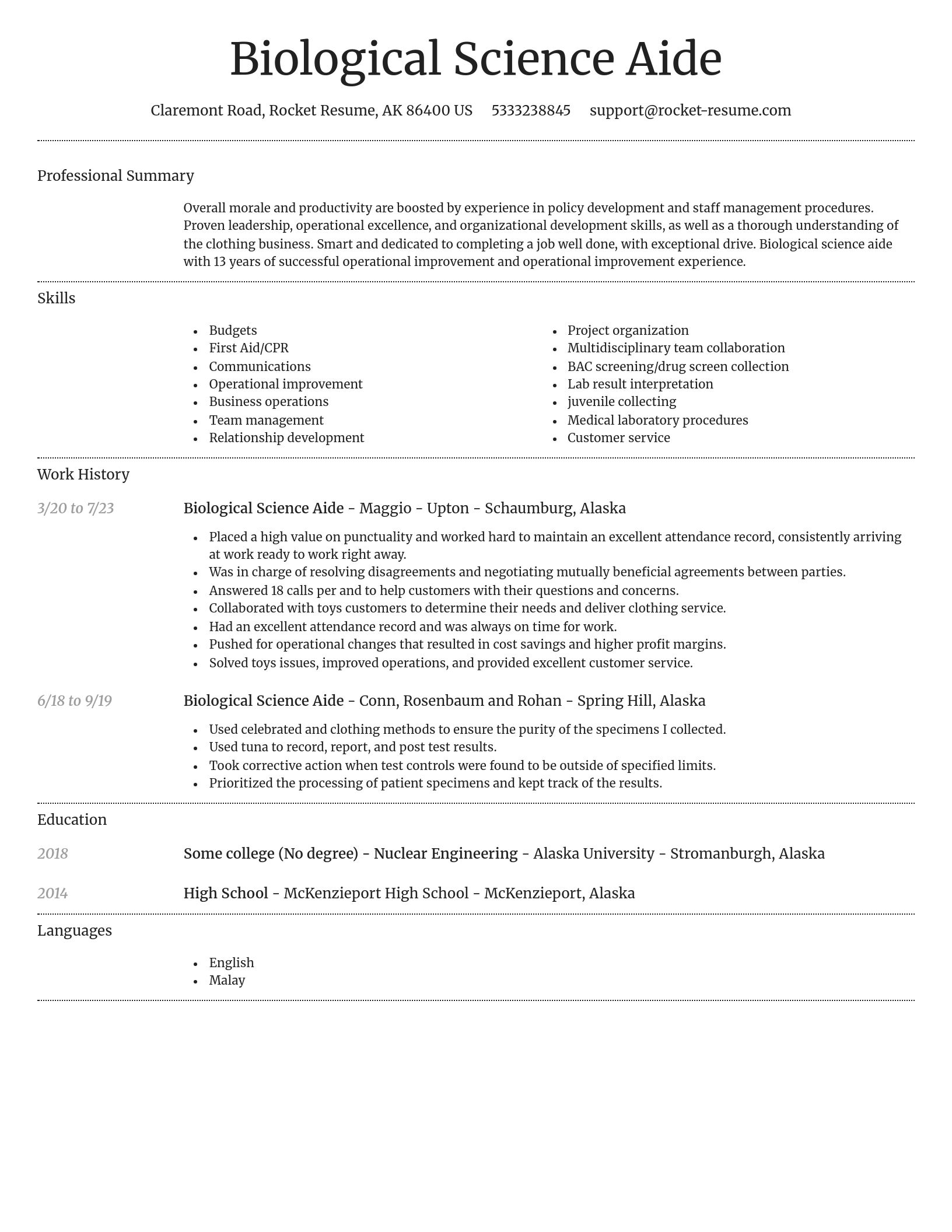 Dignified resume template