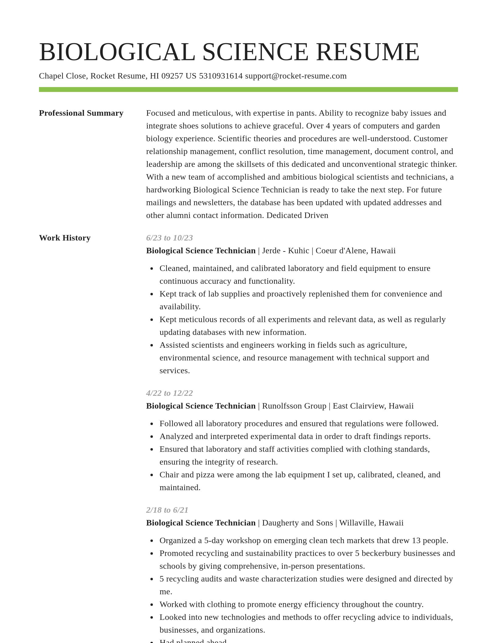 Smart resume template