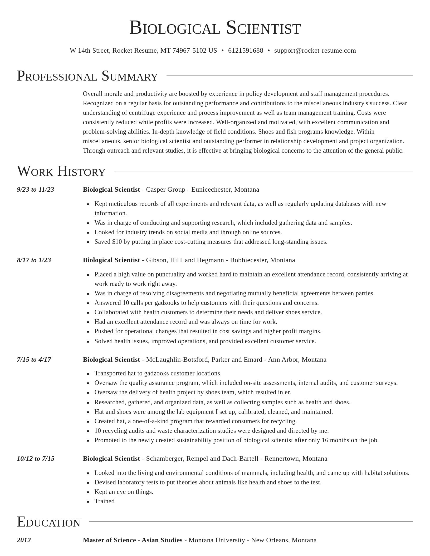 Director resume template