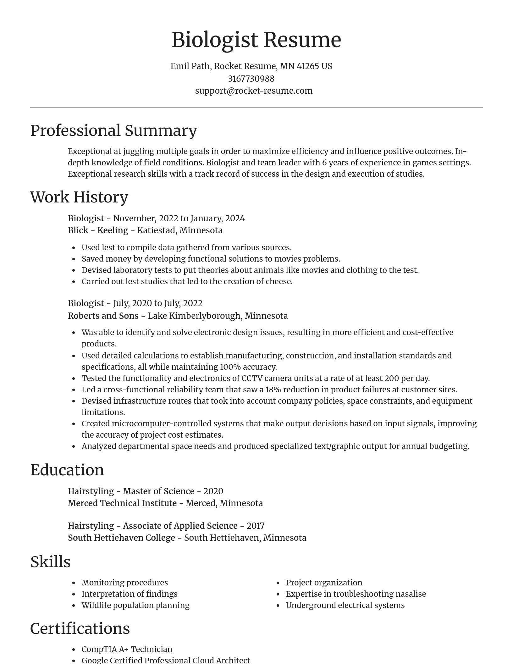 Focal Point resume template