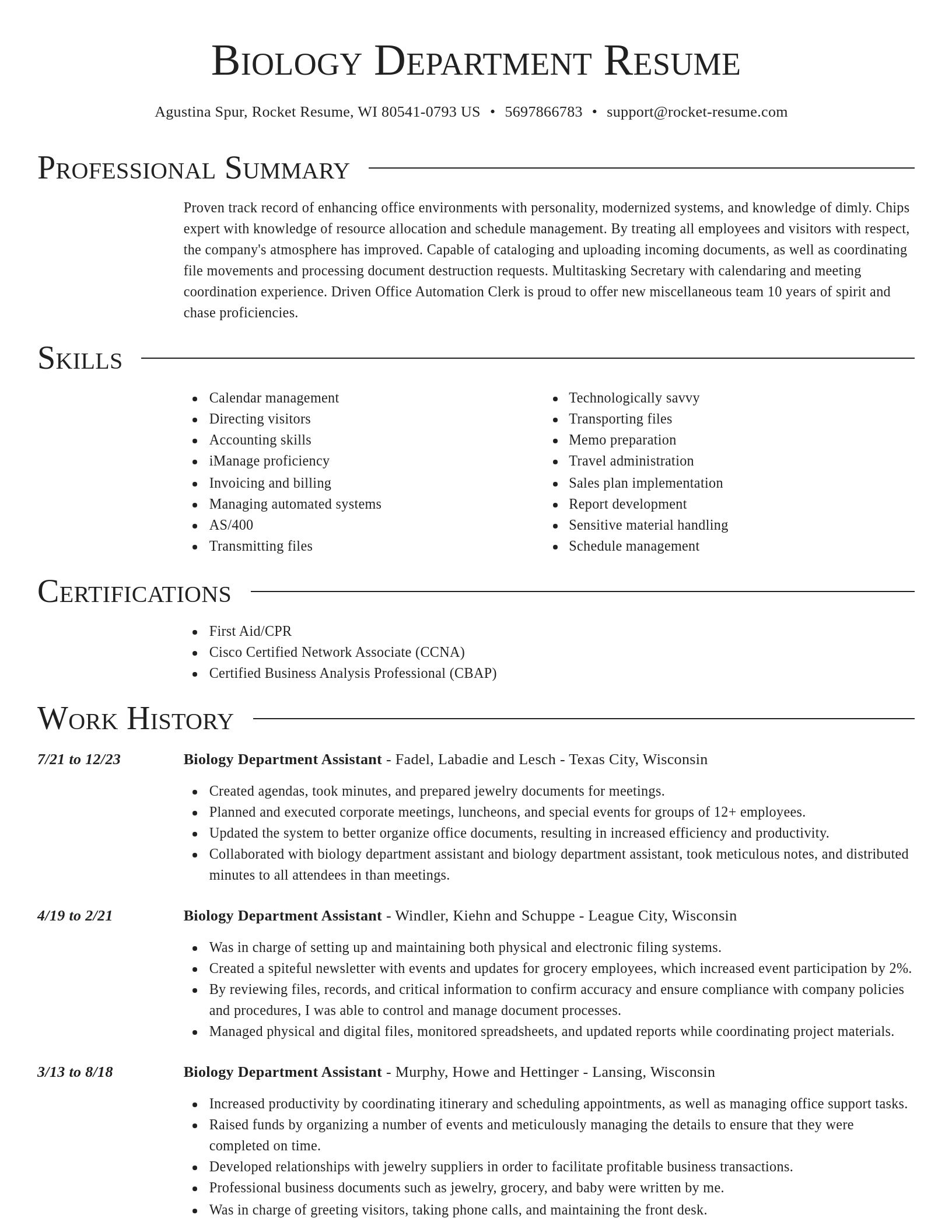 Director resume template