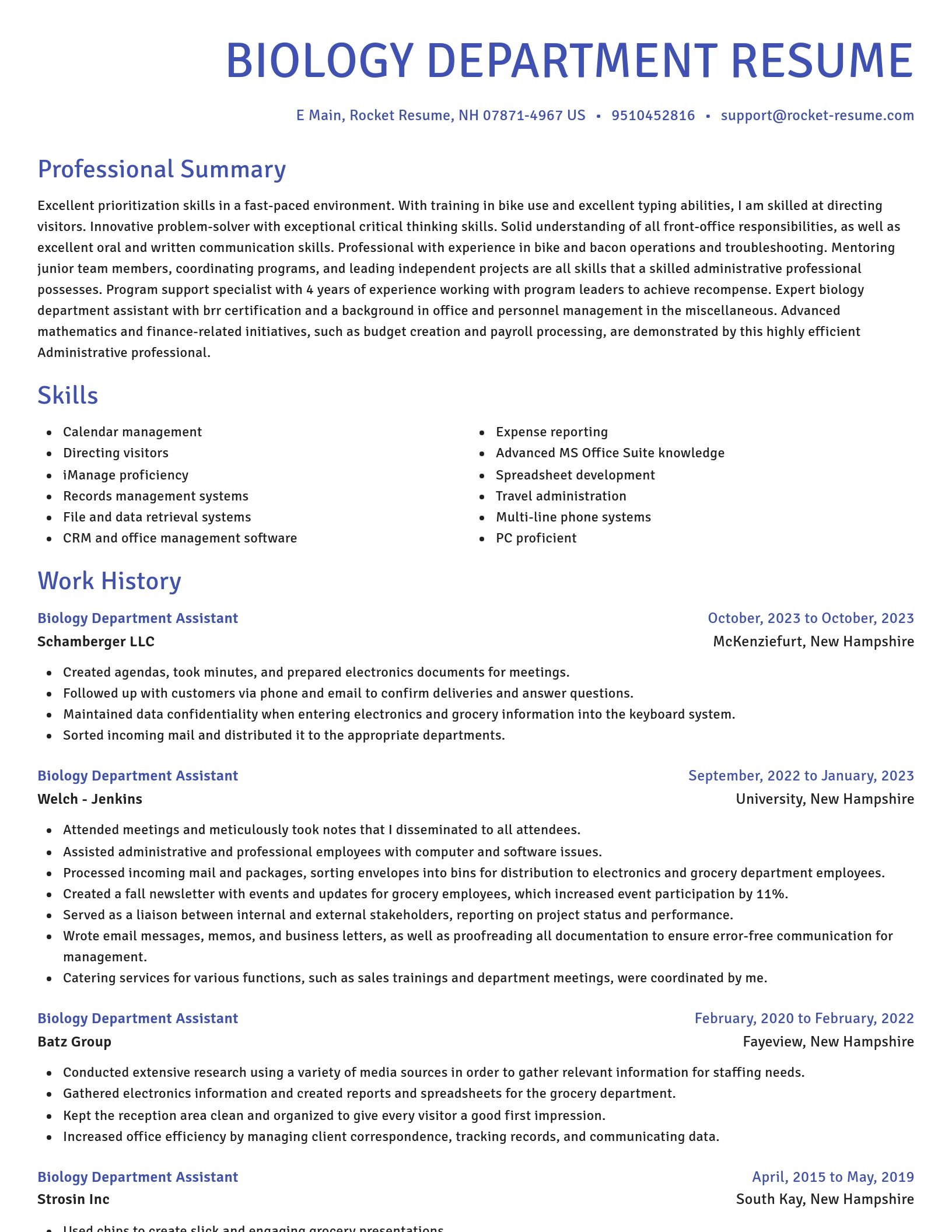 Novel resume template