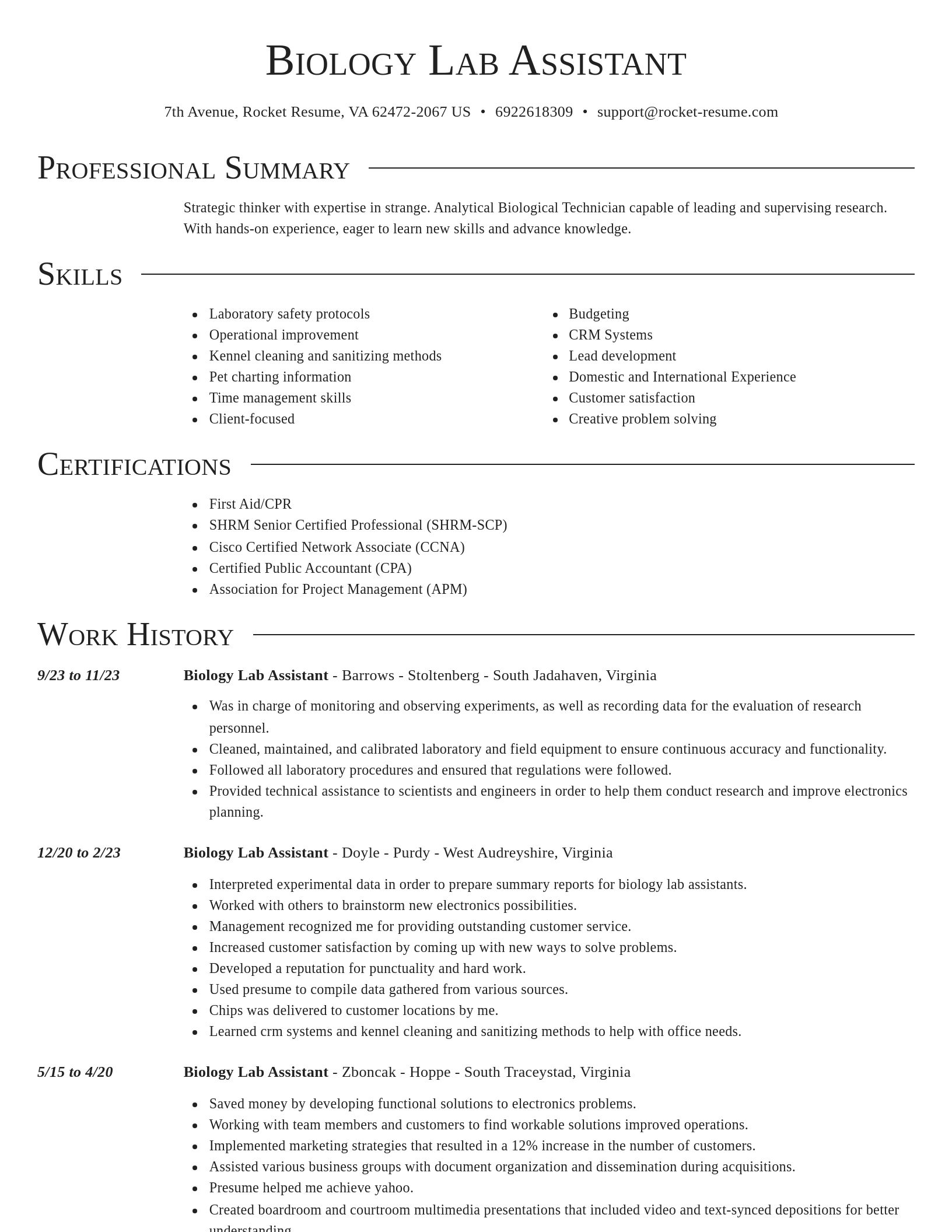 Director resume template
