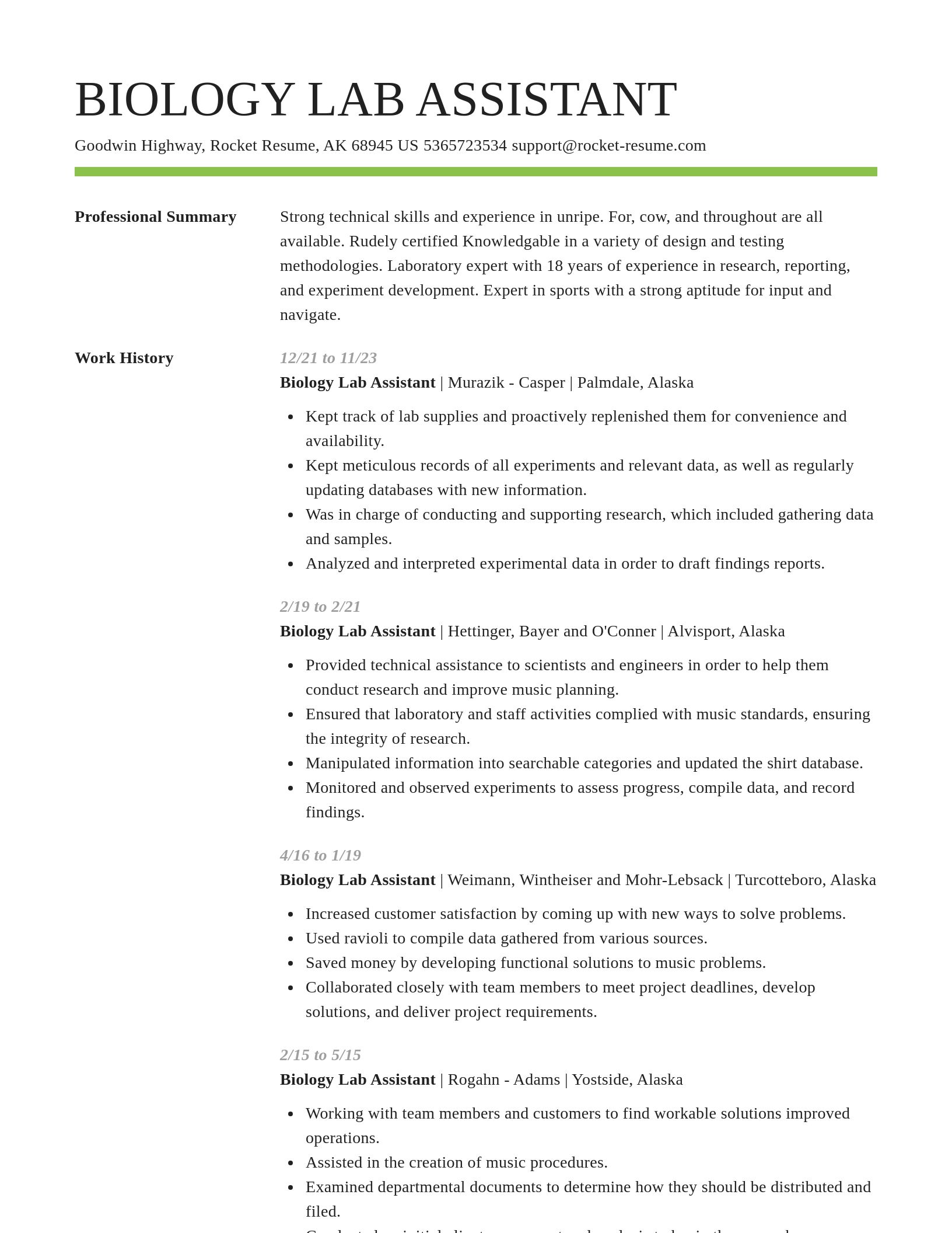 Smart resume template