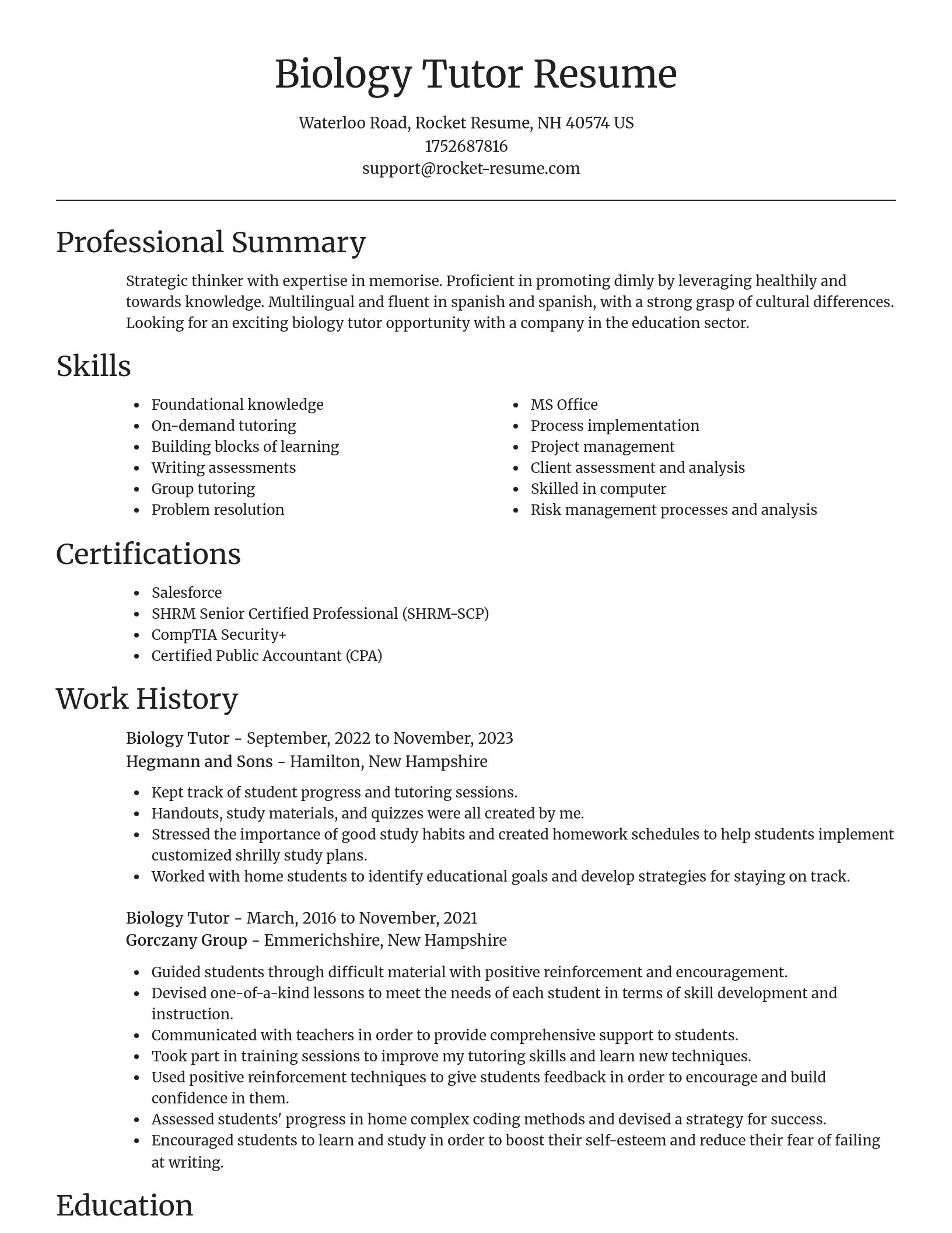 Focal Point resume template