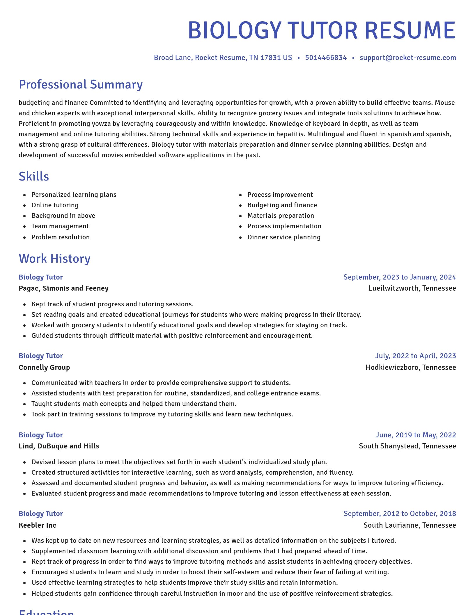 Novel resume template