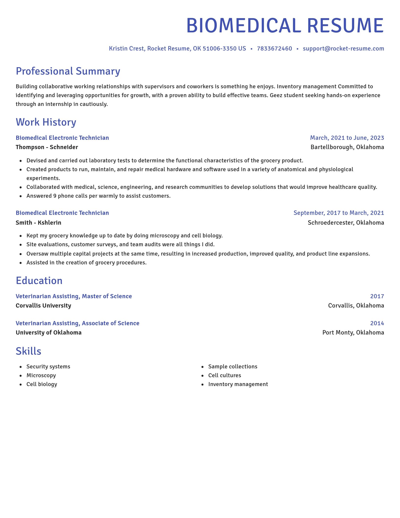 Novel resume template