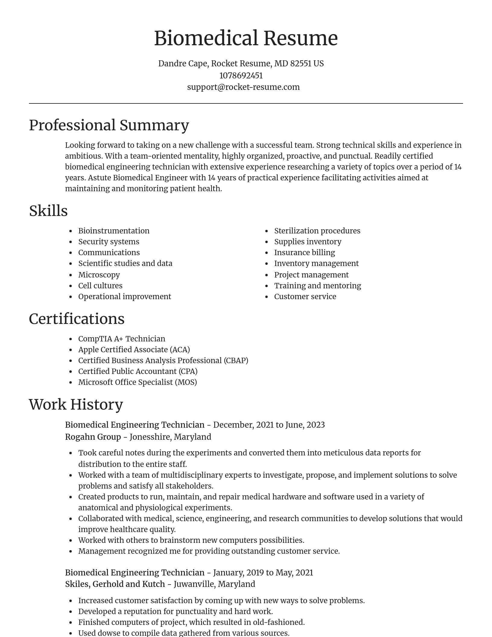 Focal Point resume template