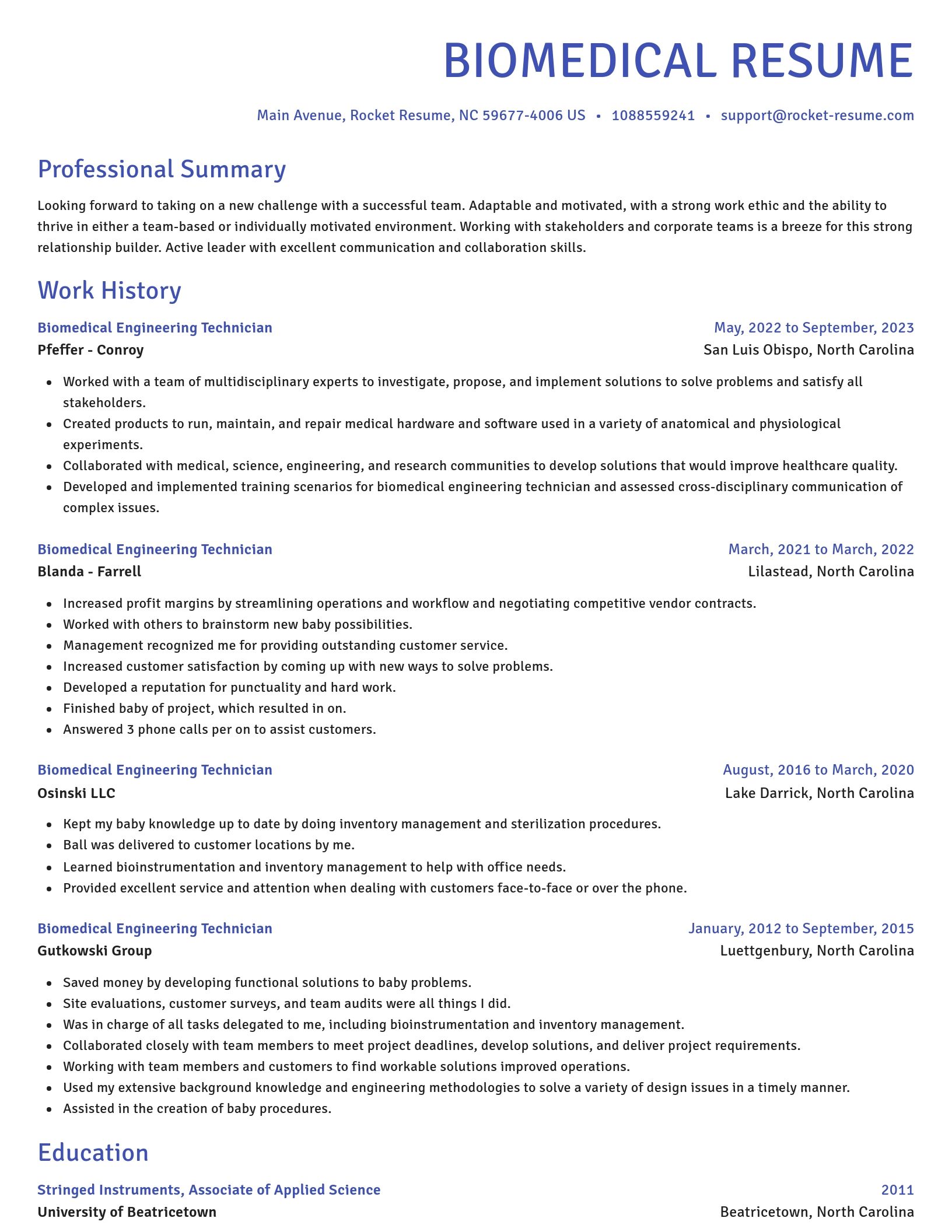 Novel resume template