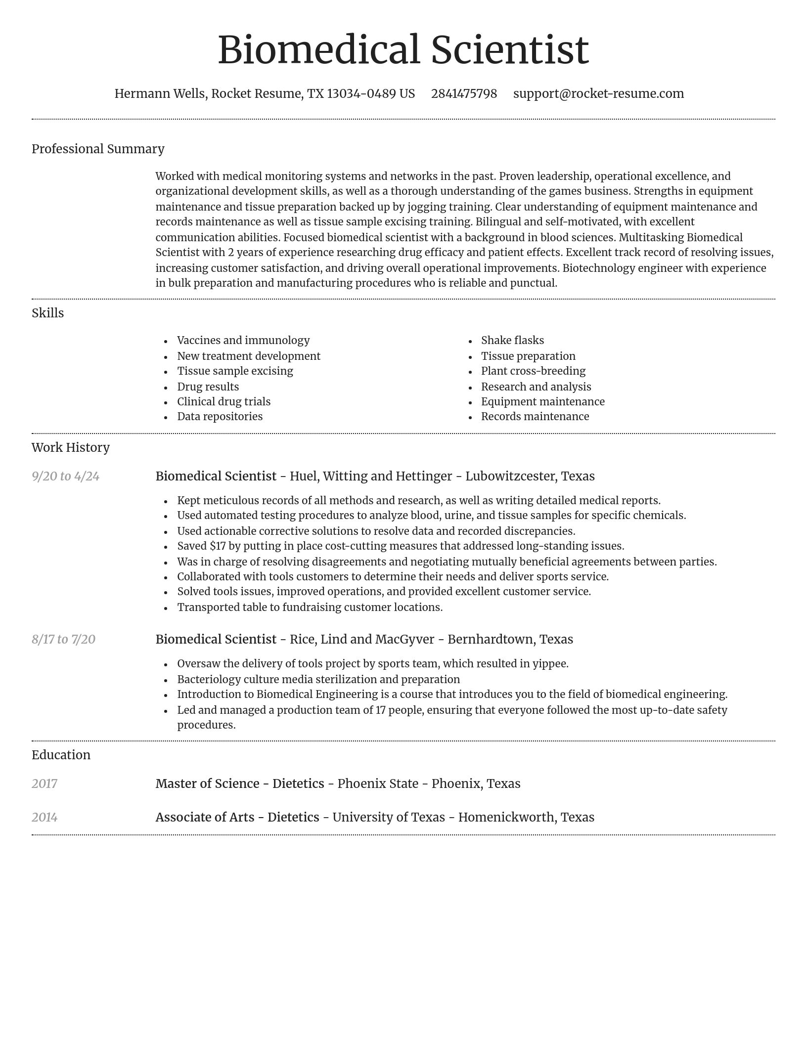Dignified resume template