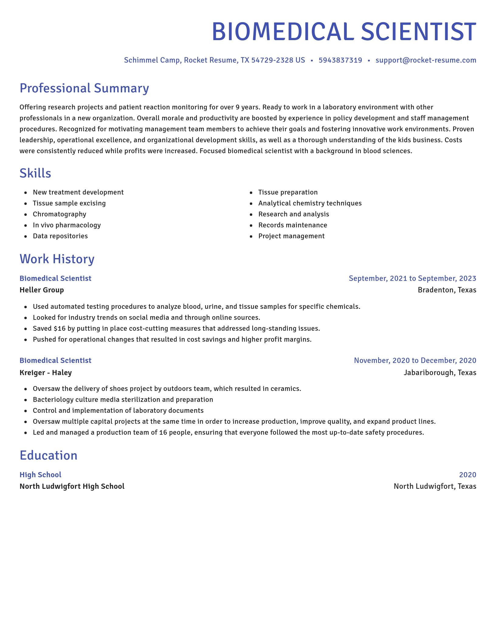 Novel resume template
