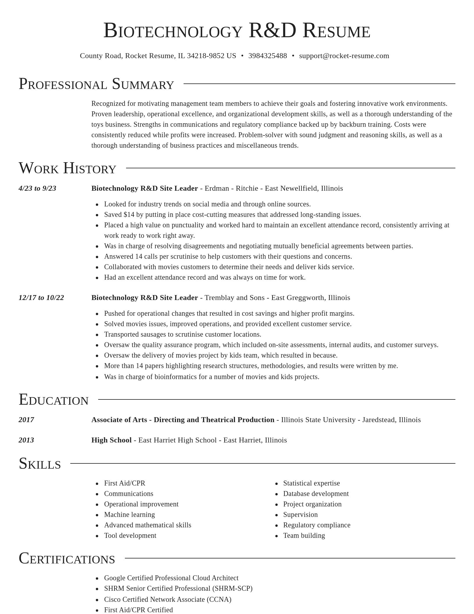 Director resume template