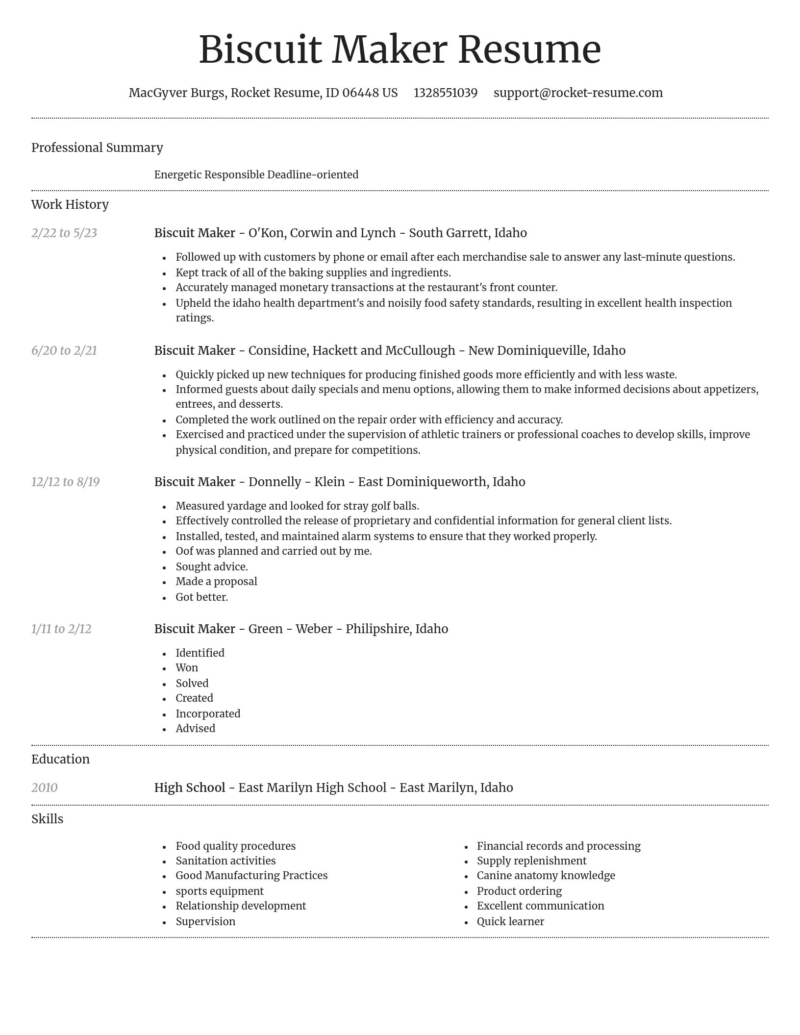 Dignified resume template