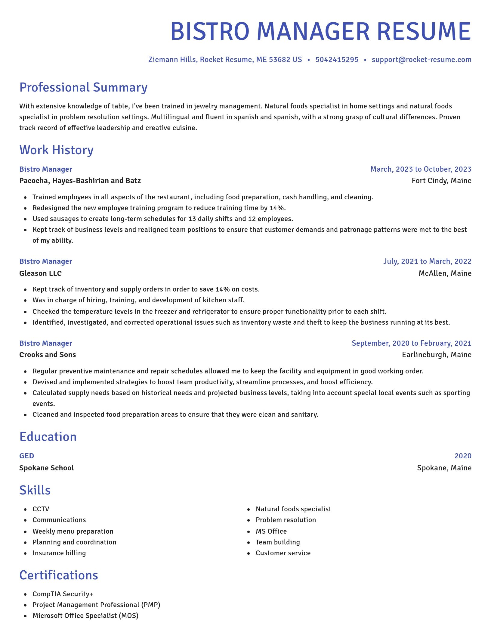 Novel resume template