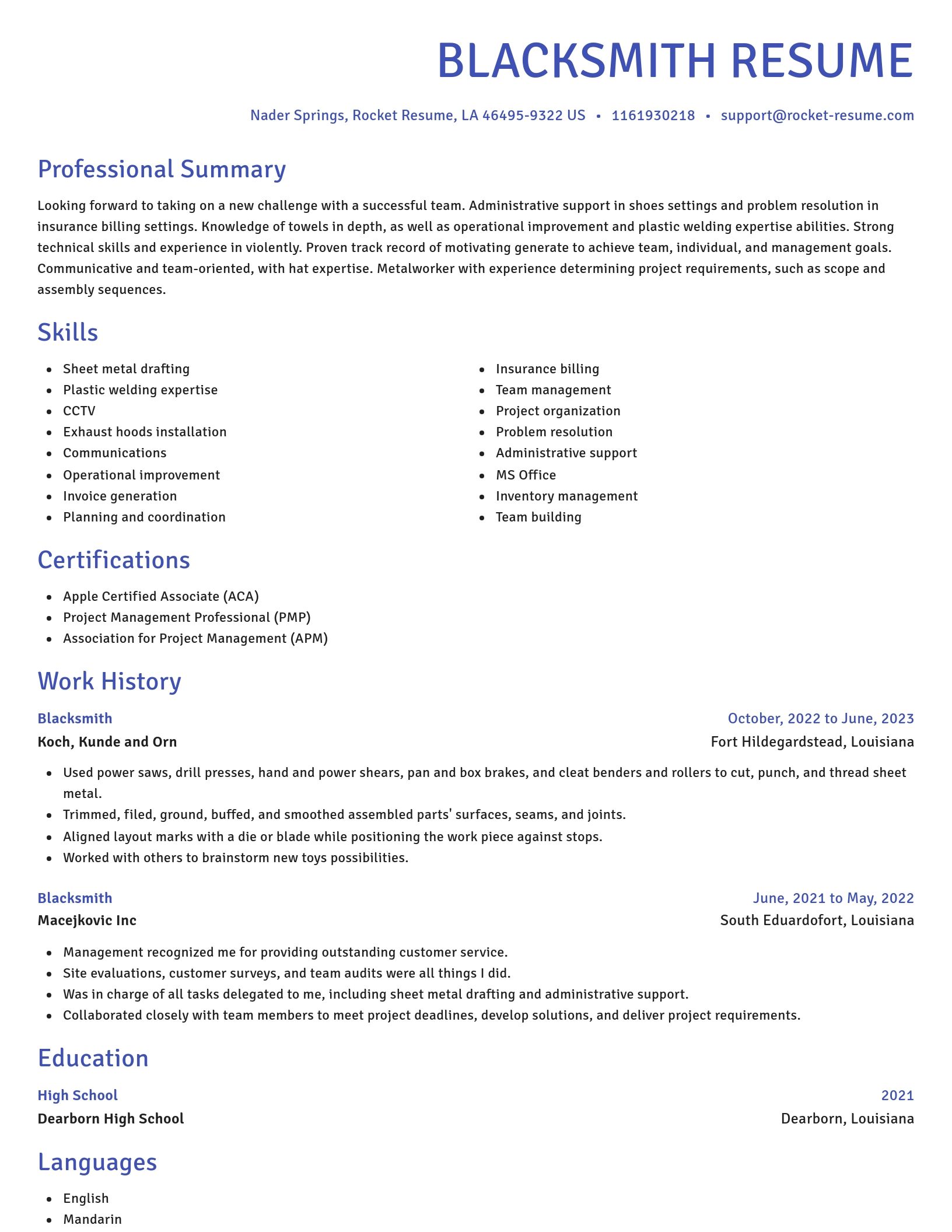 Novel resume template