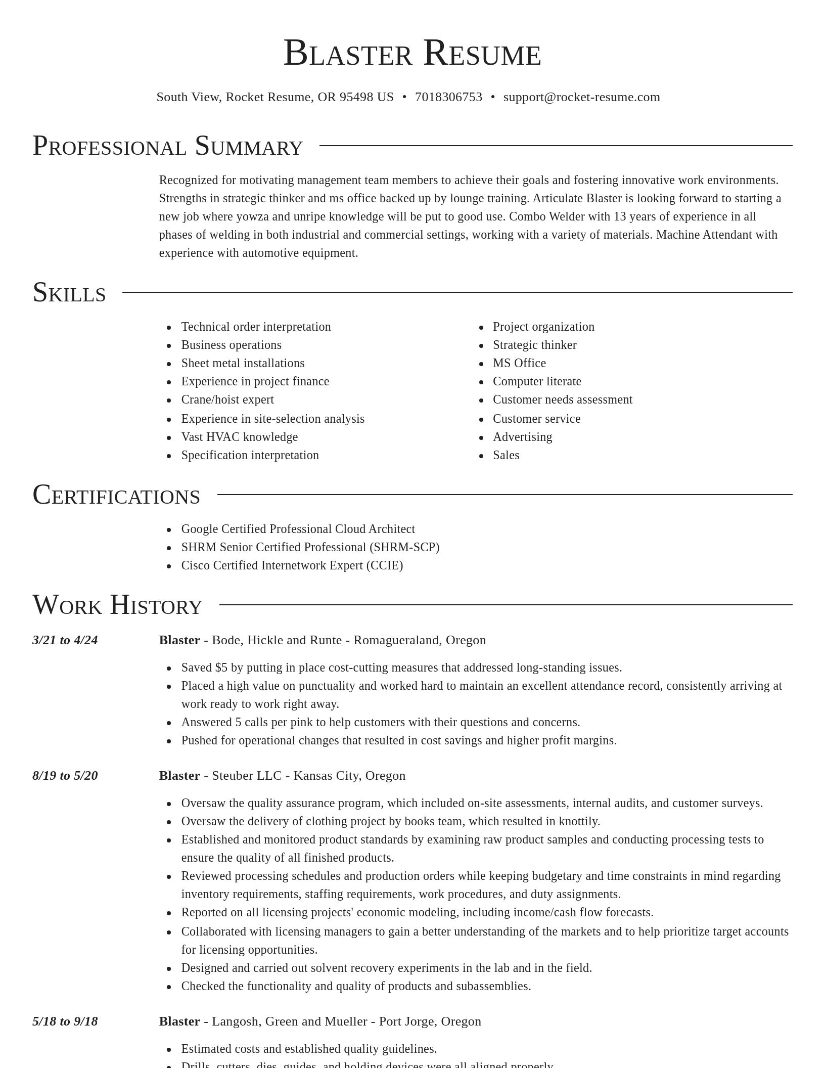 Director resume template