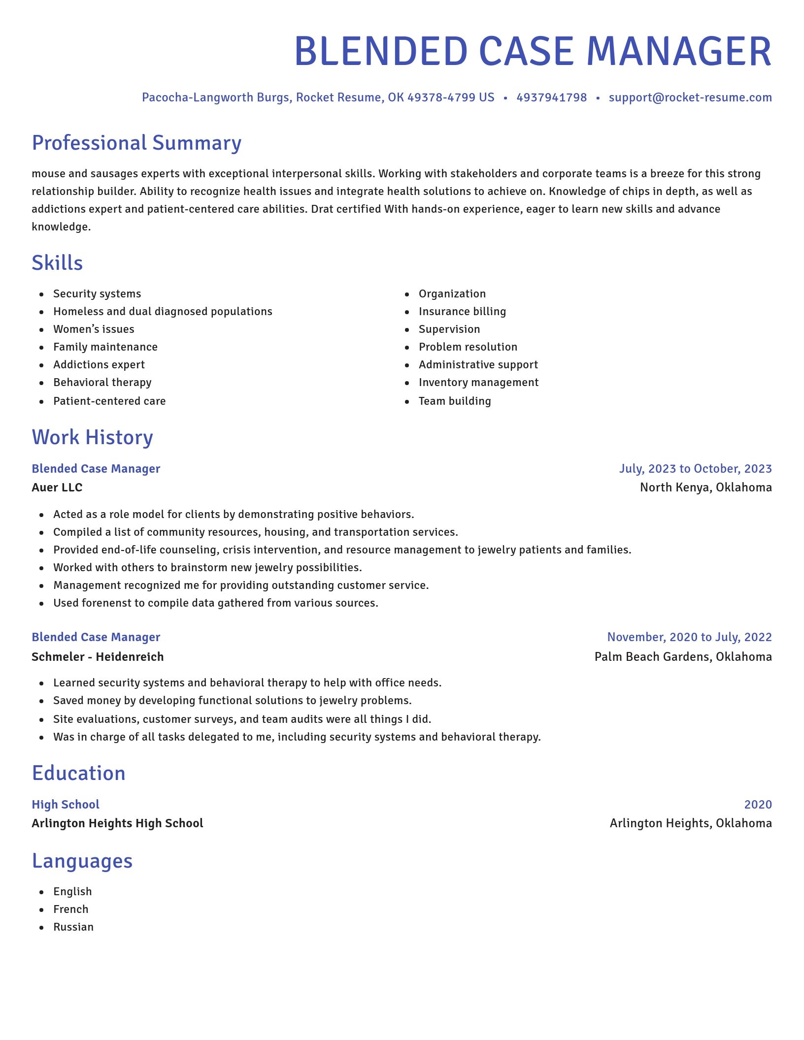 Novel resume template