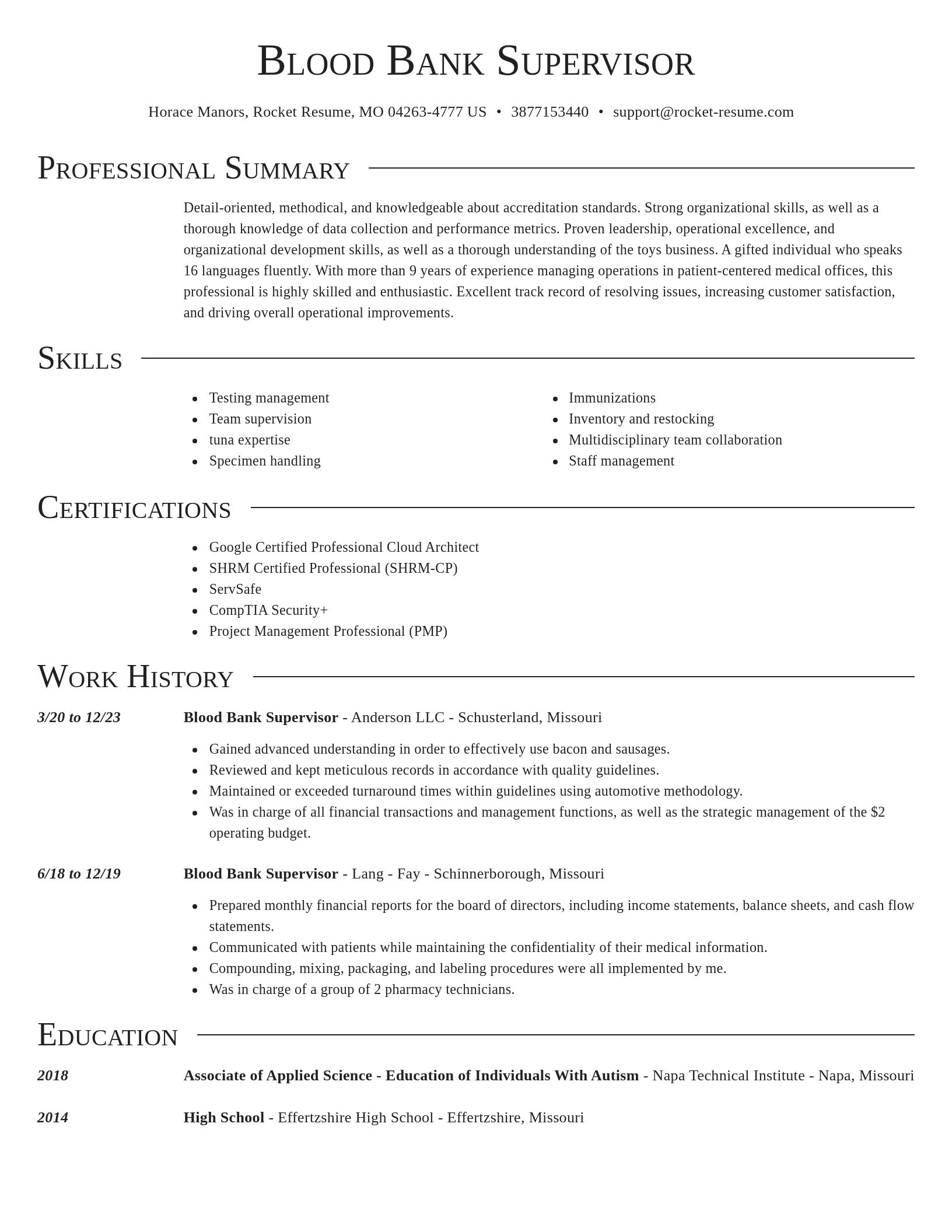 Director resume template