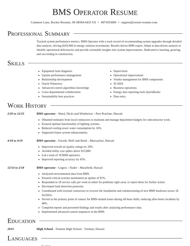 Director resume template