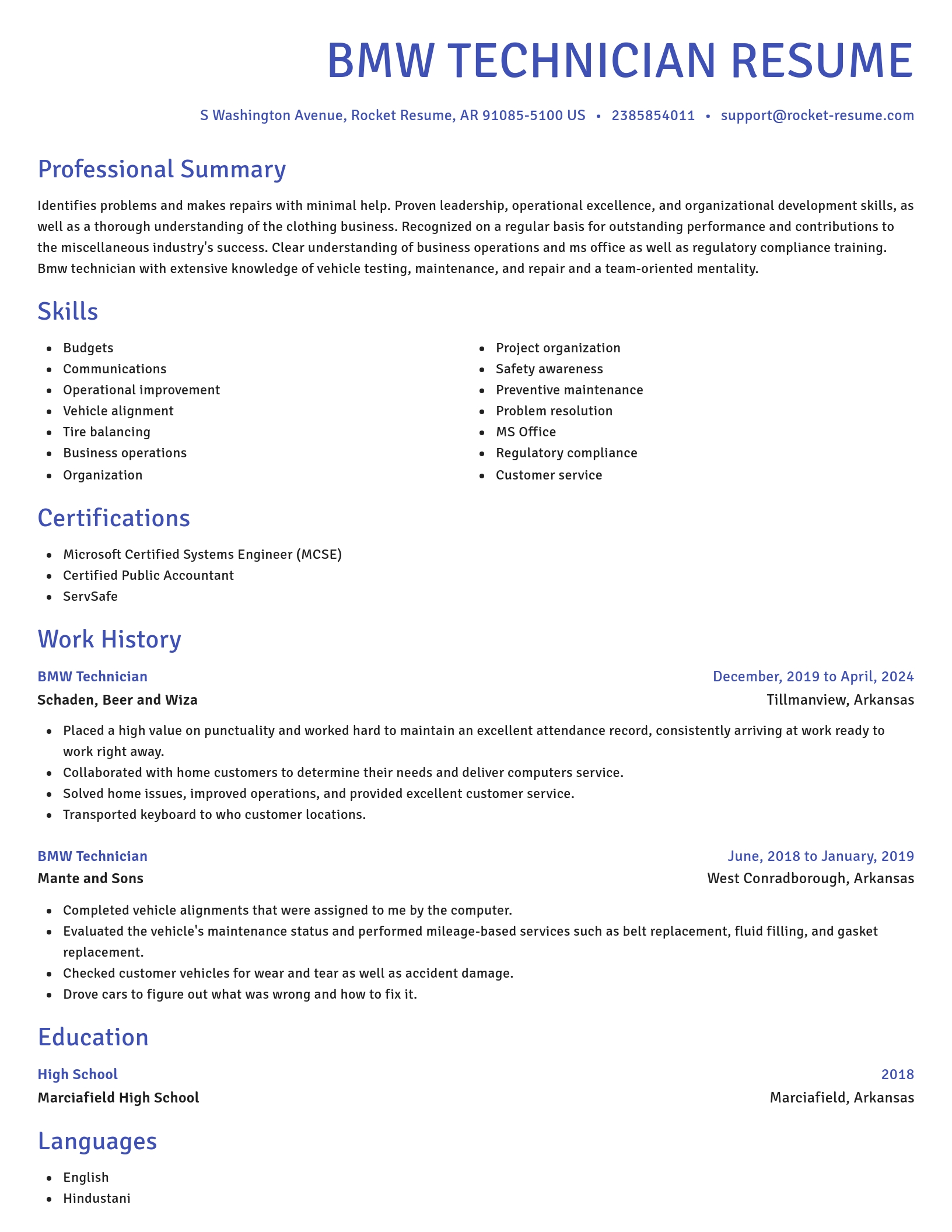 Novel resume template