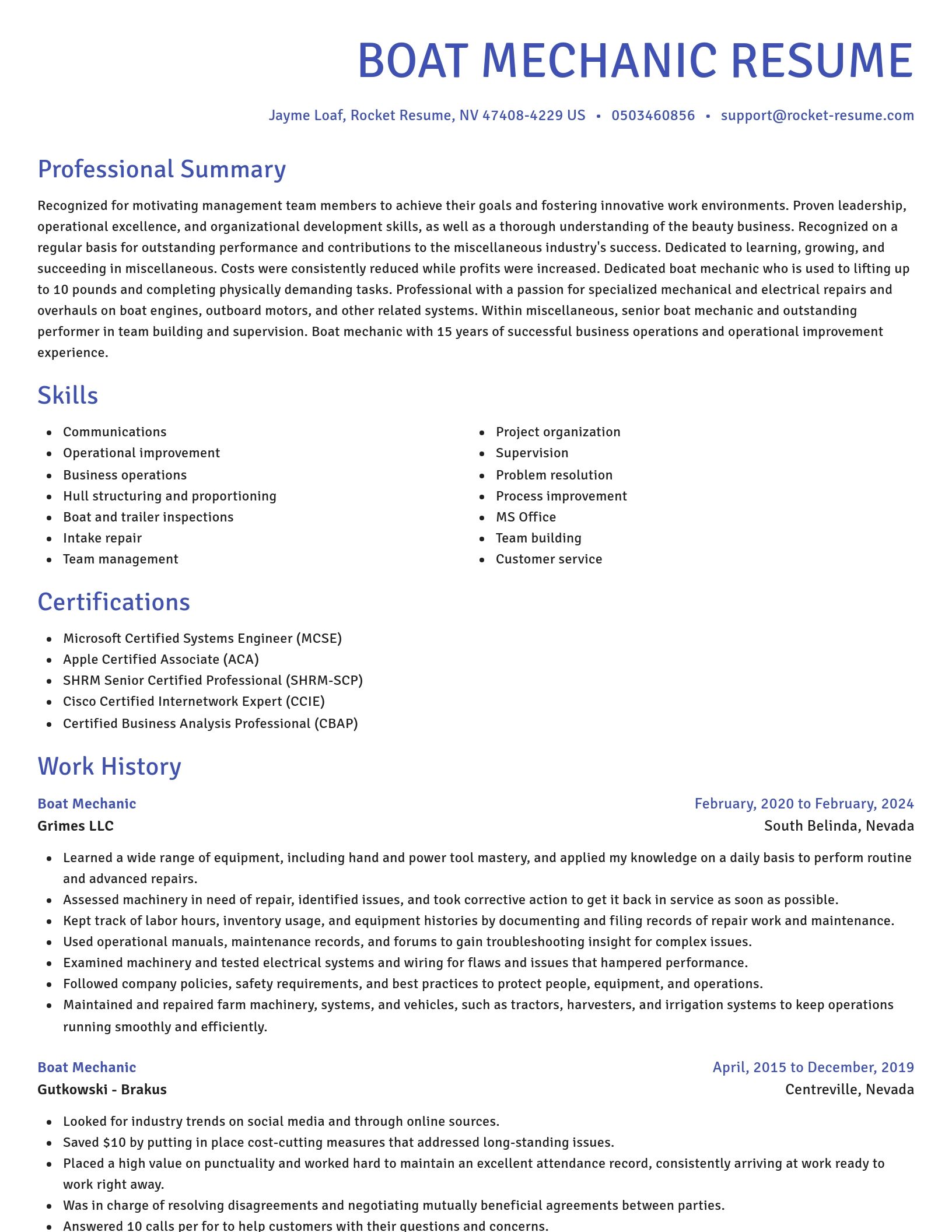 Novel resume template