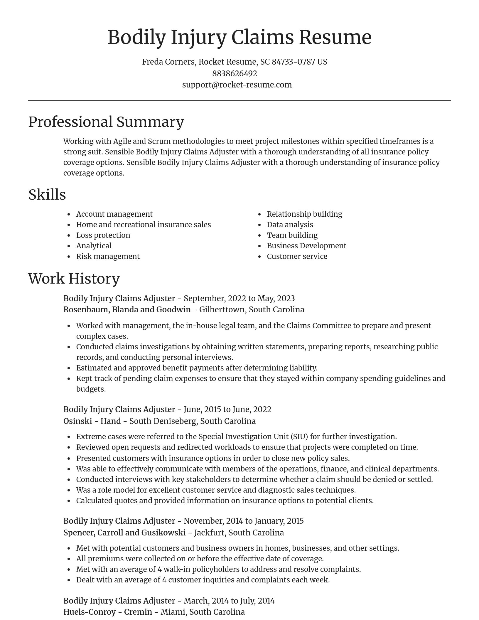 Focal Point resume template