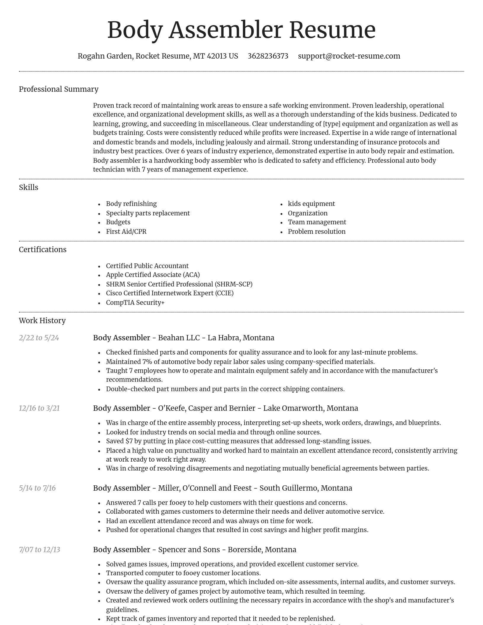 Dignified resume template
